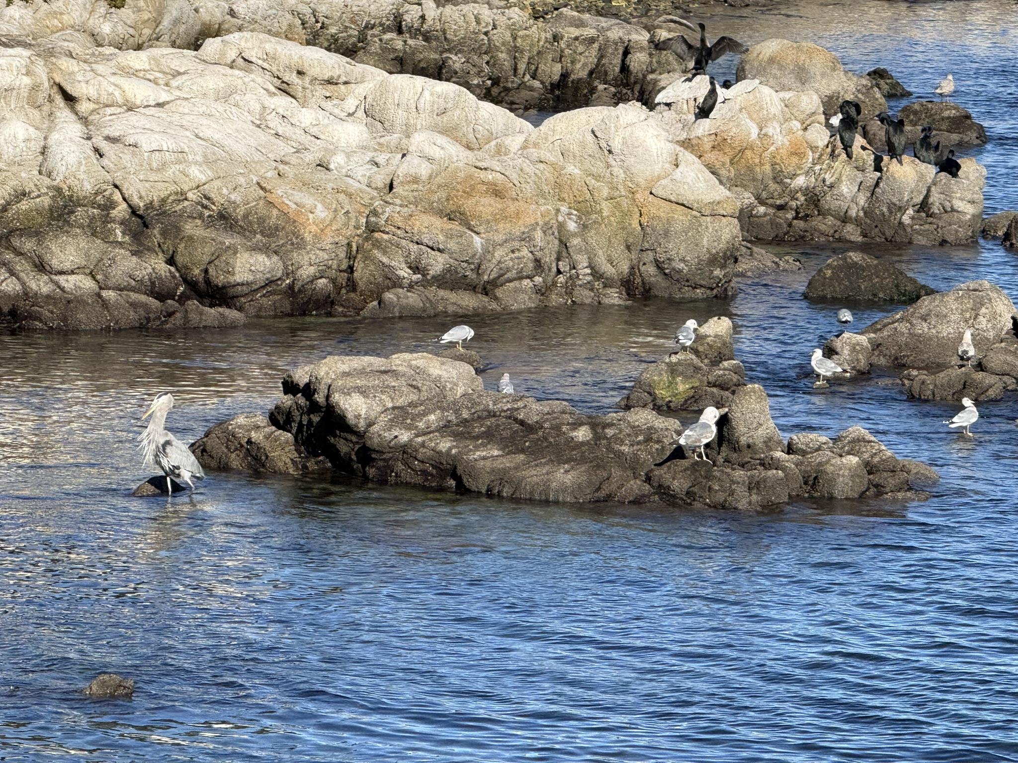 Monterey Bay Coastal Trail