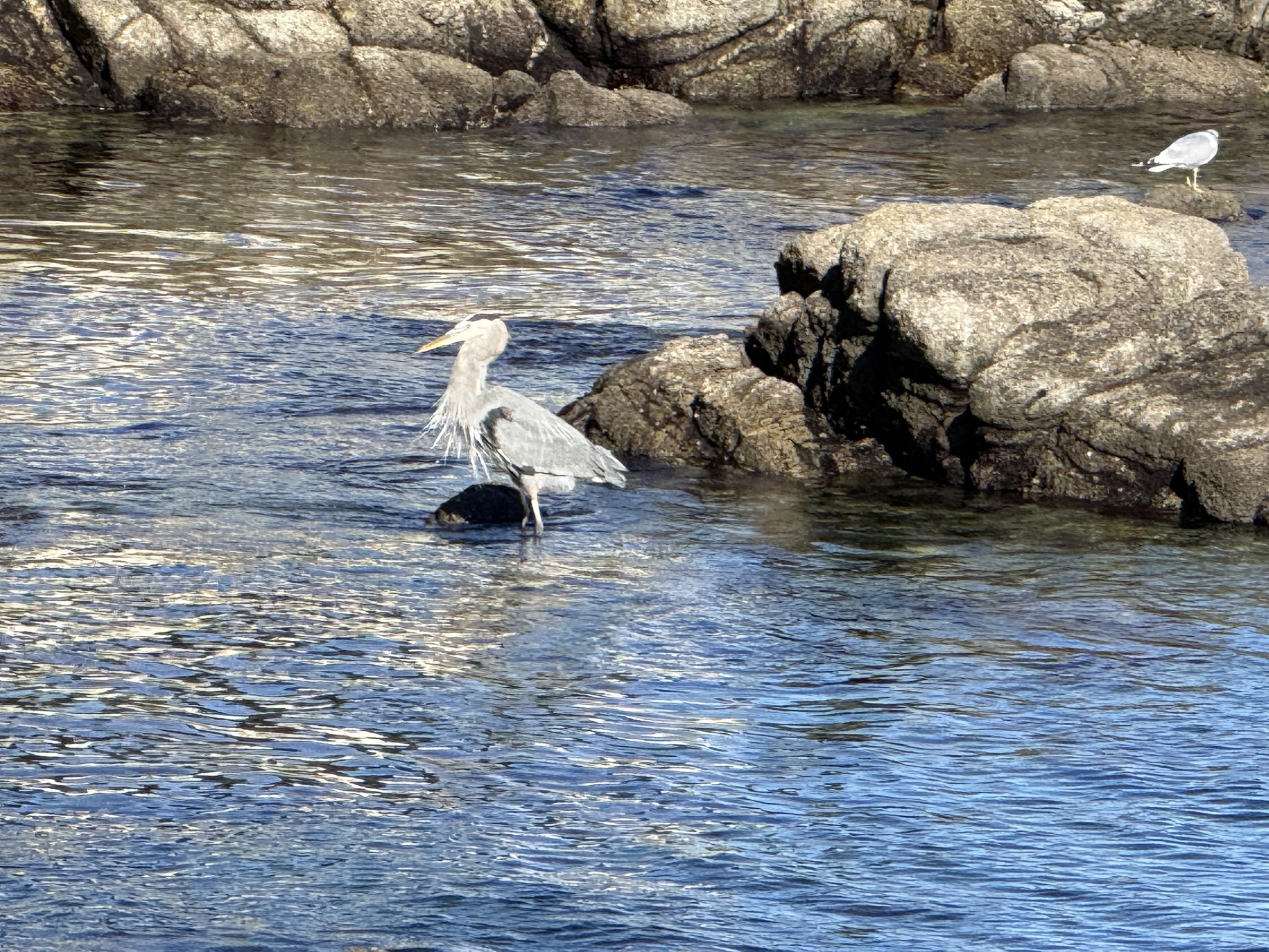 Monterey Bay Coastal Trail