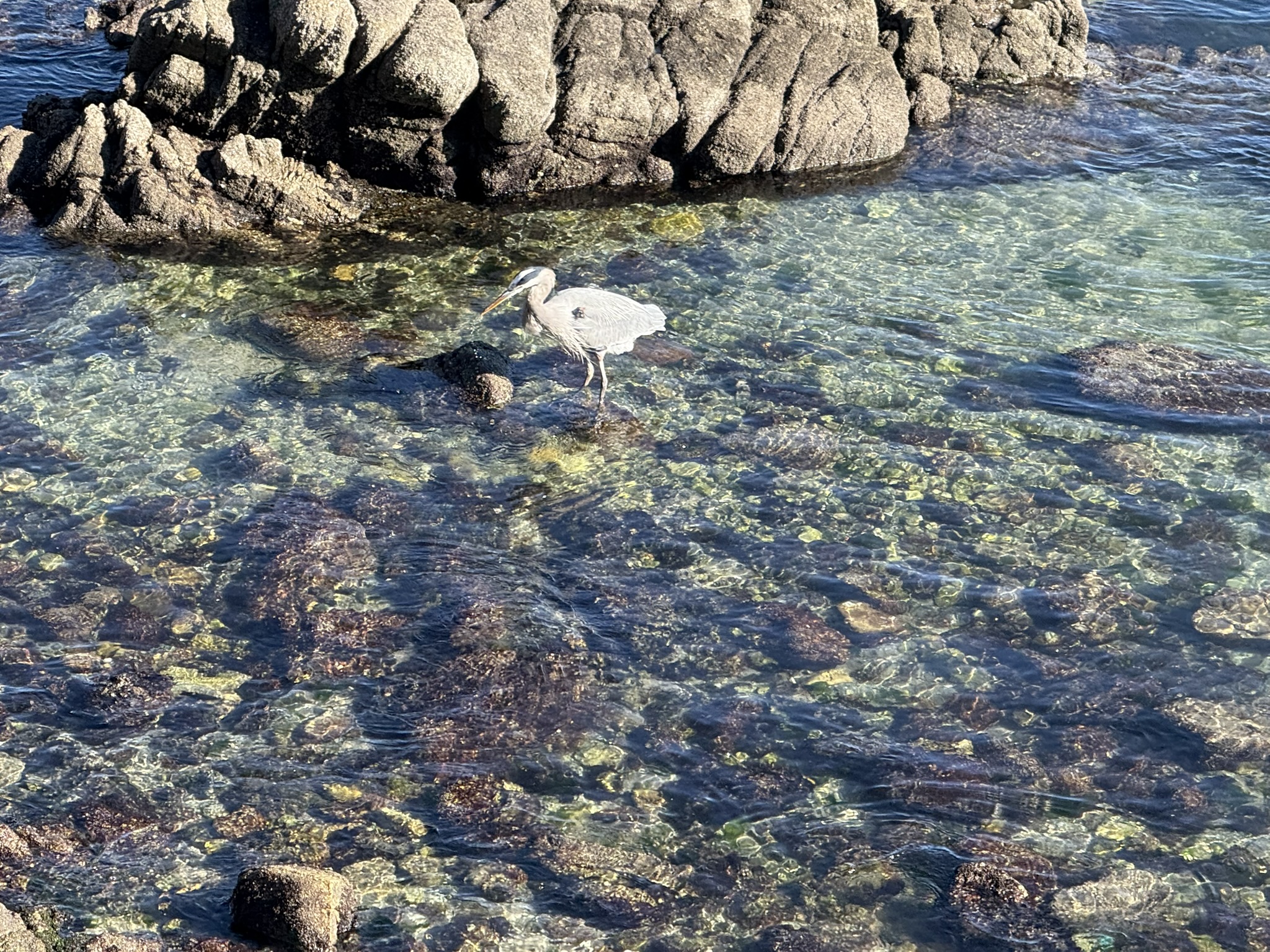 Monterey Bay Coastal Trail