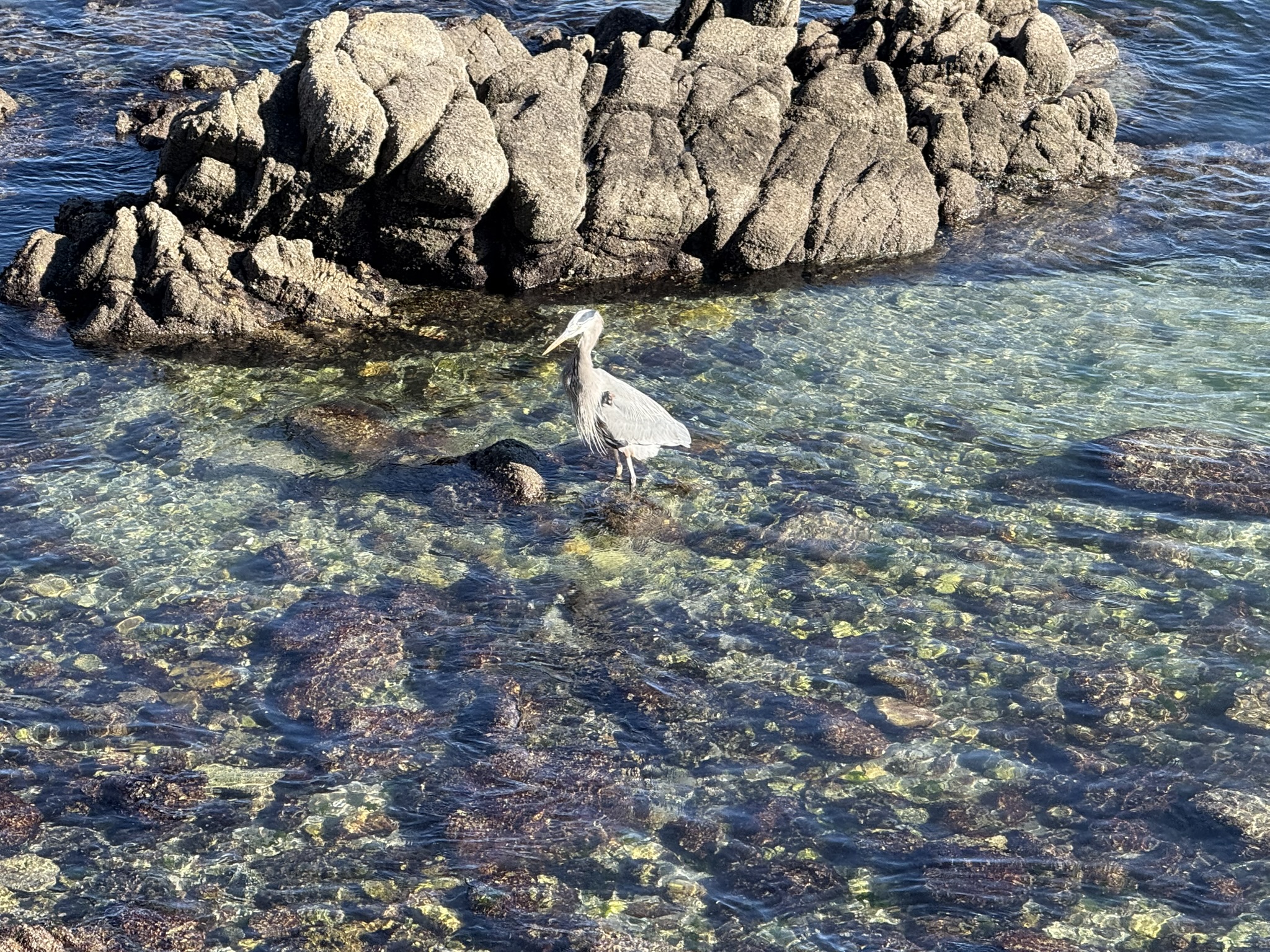 Monterey Bay Coastal Trail