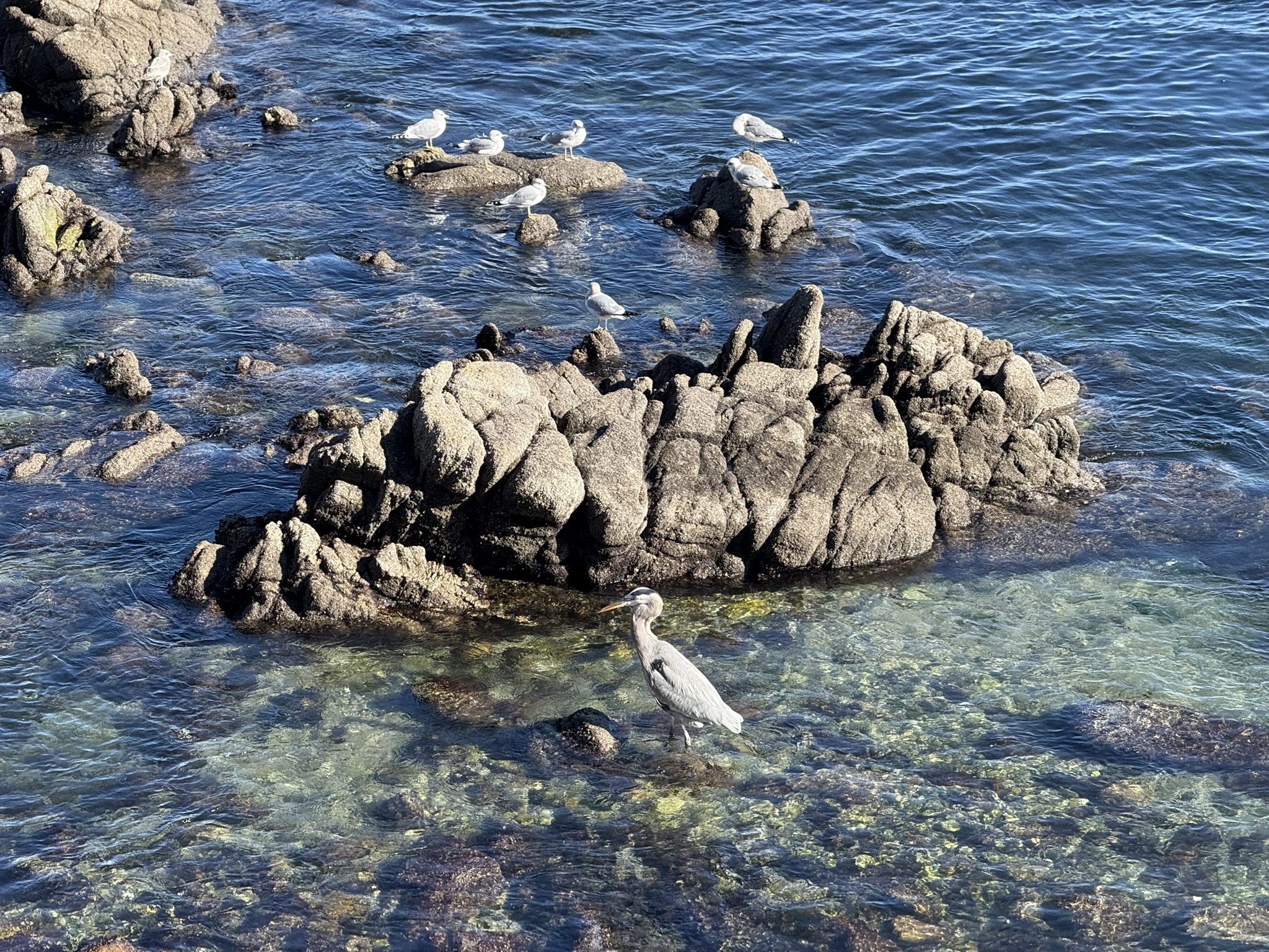 Monterey Bay Coastal Trail