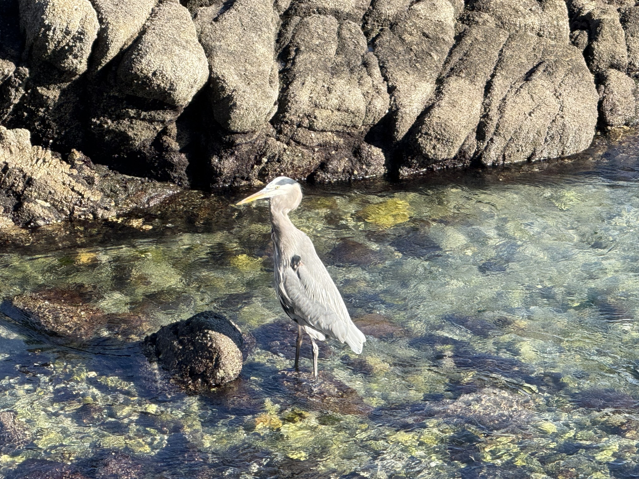 Monterey Bay Coastal Trail