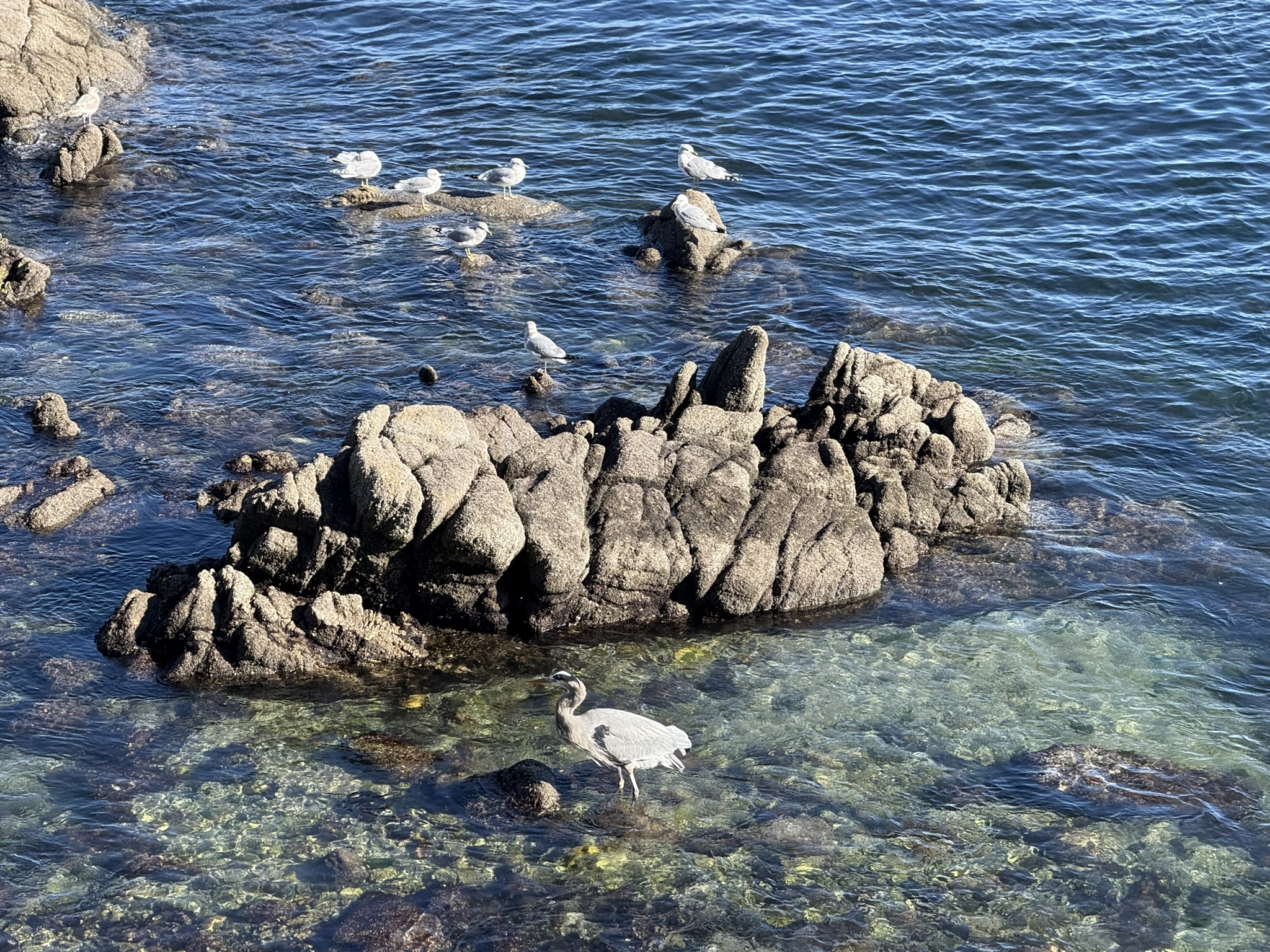 Monterey Bay Coastal Trail