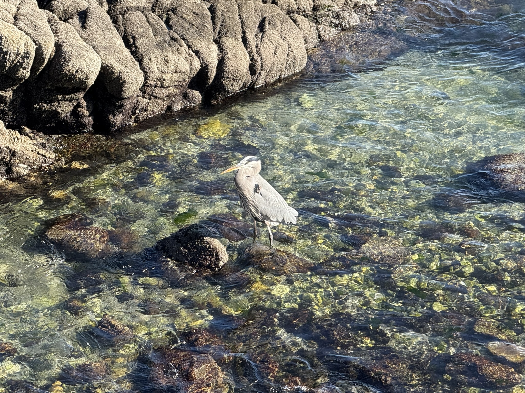 Monterey Bay Coastal Trail