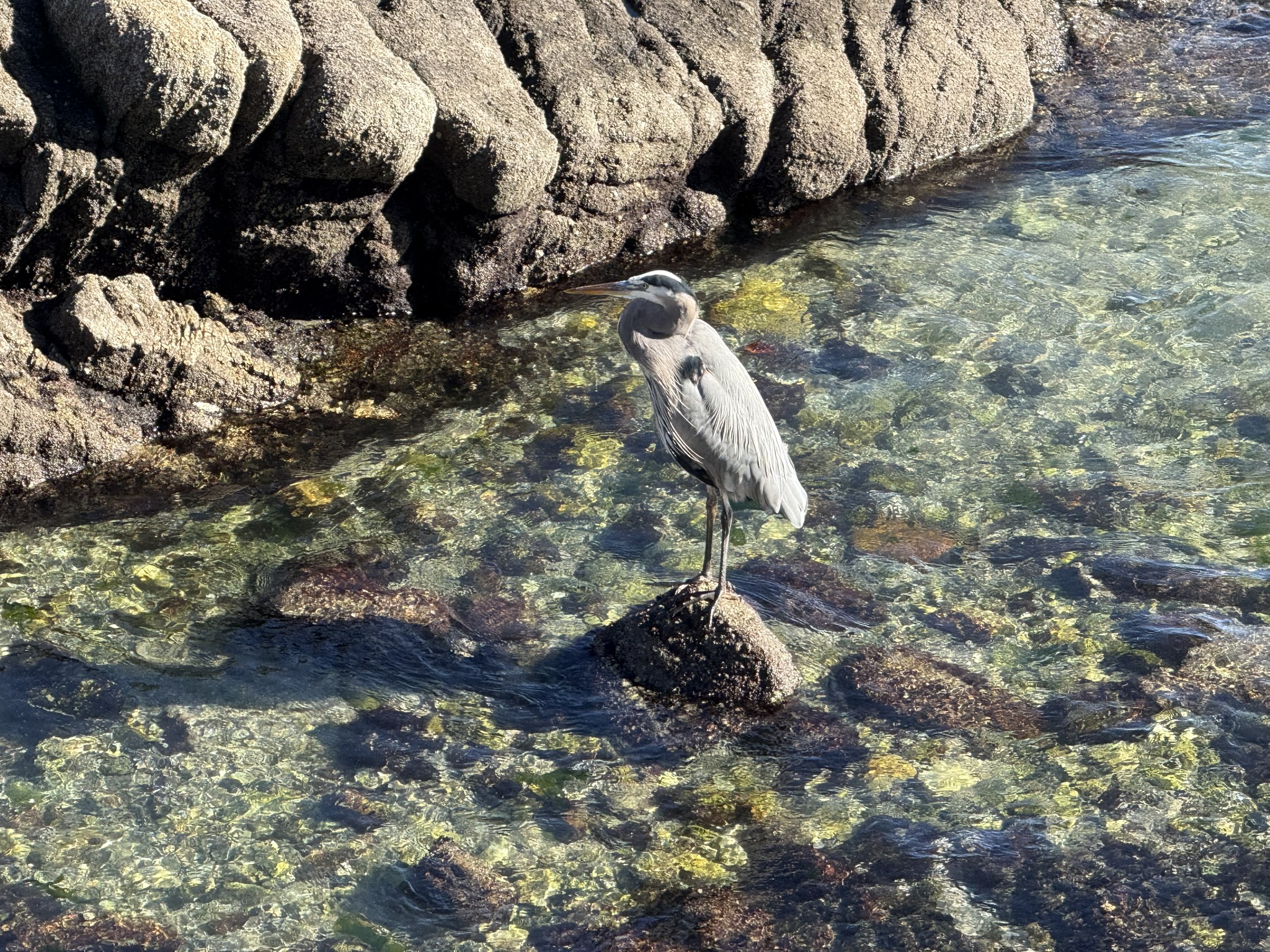 Monterey Bay Coastal Trail