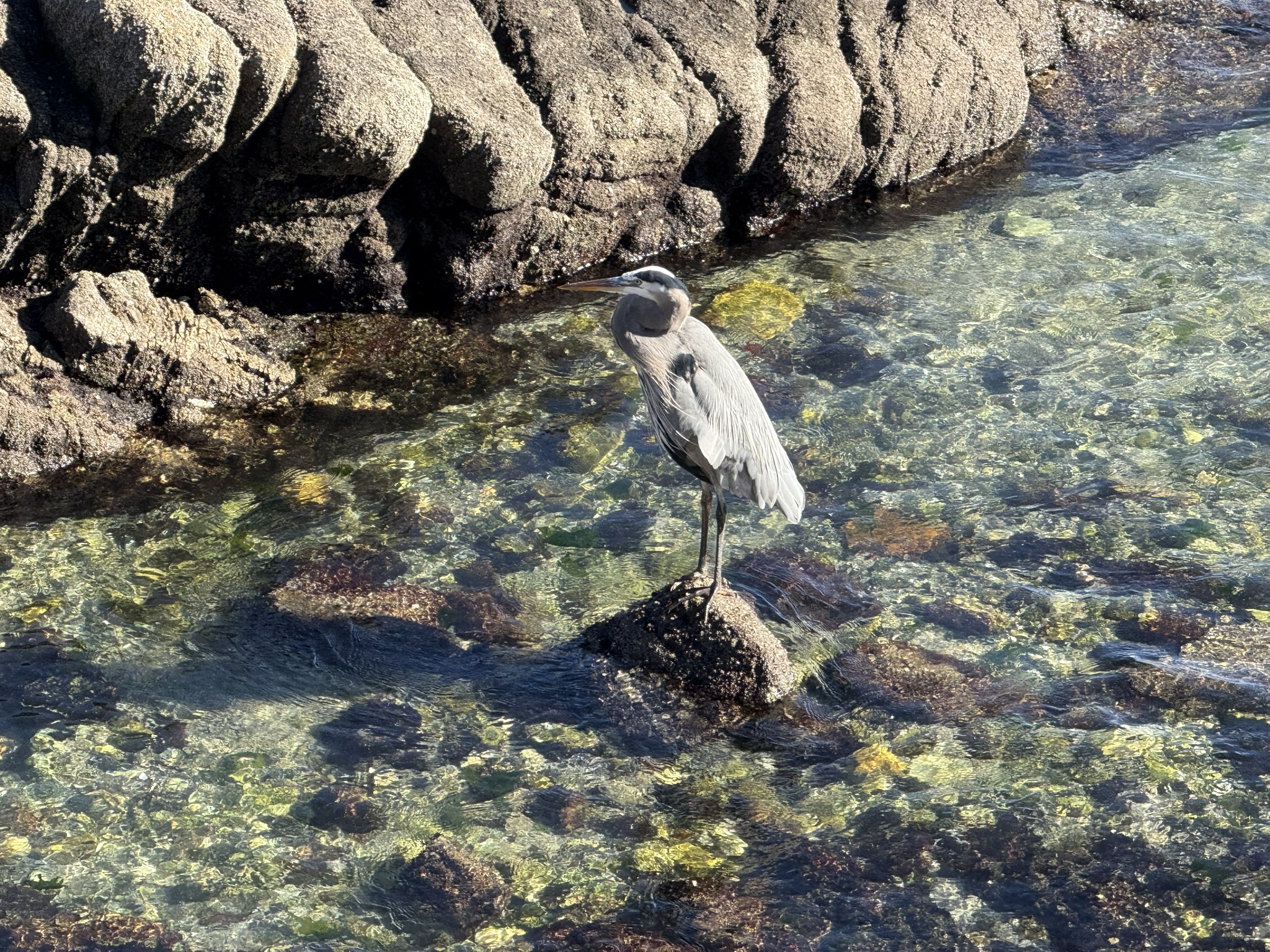 Monterey Bay Coastal Trail