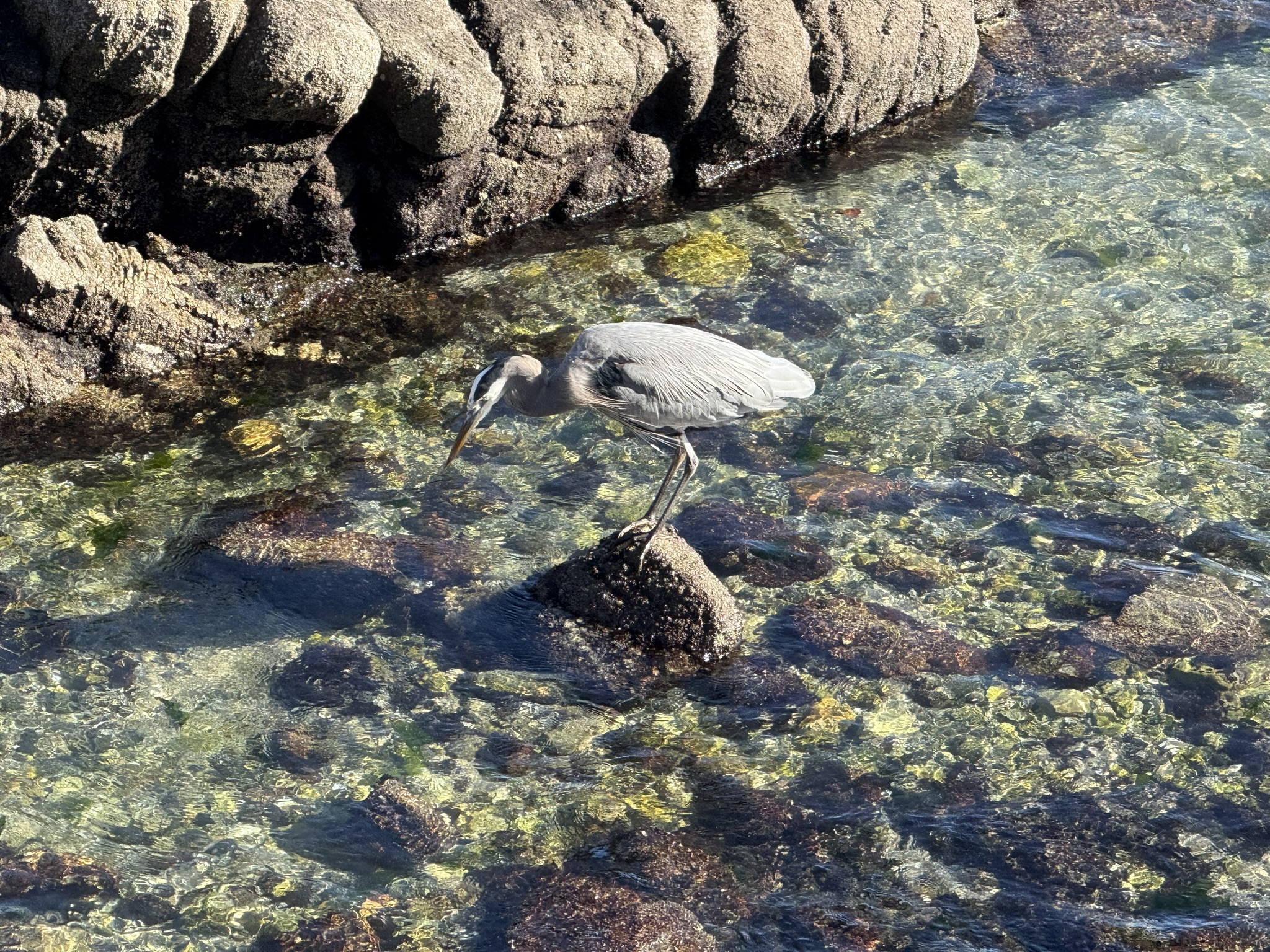 Monterey Bay Coastal Trail