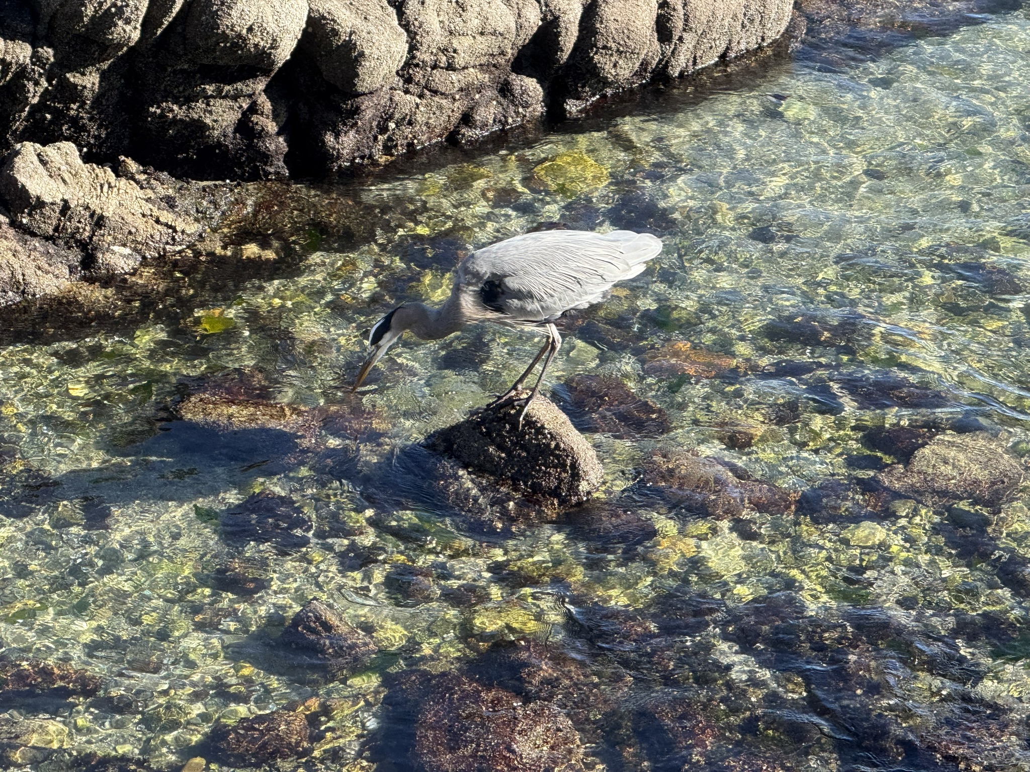 Monterey Bay Coastal Trail