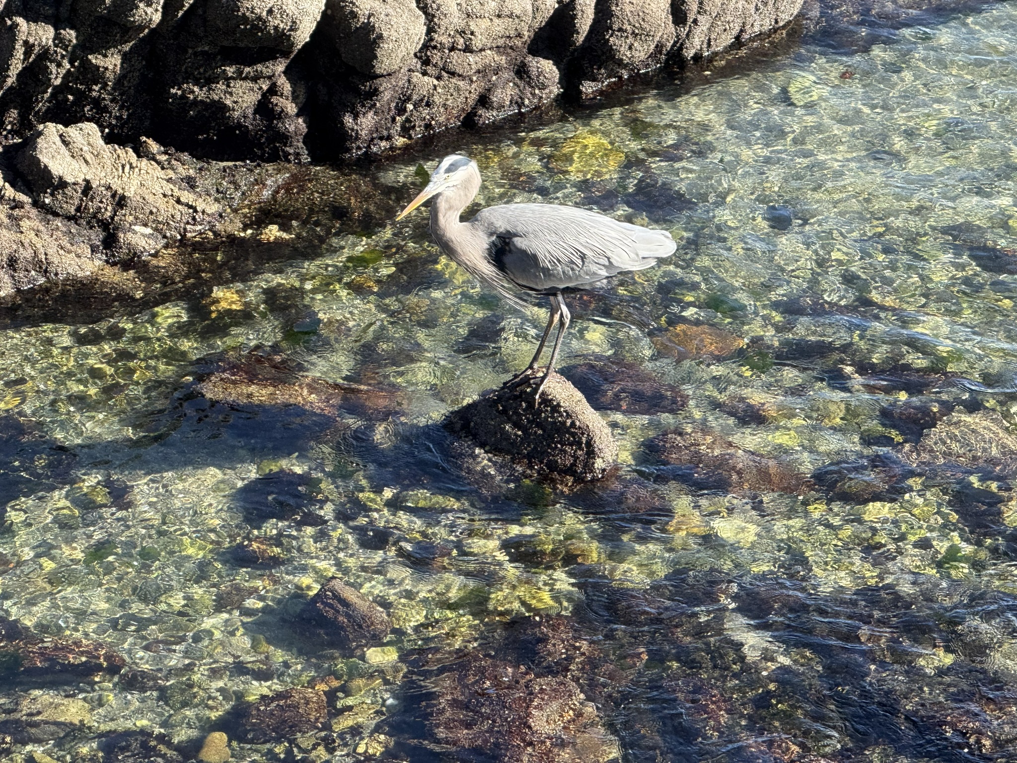 Monterey Bay Coastal Trail