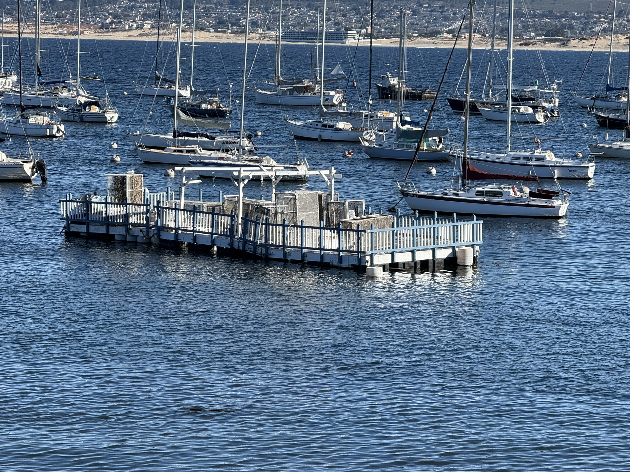 Monterey Bay Coastal Trail