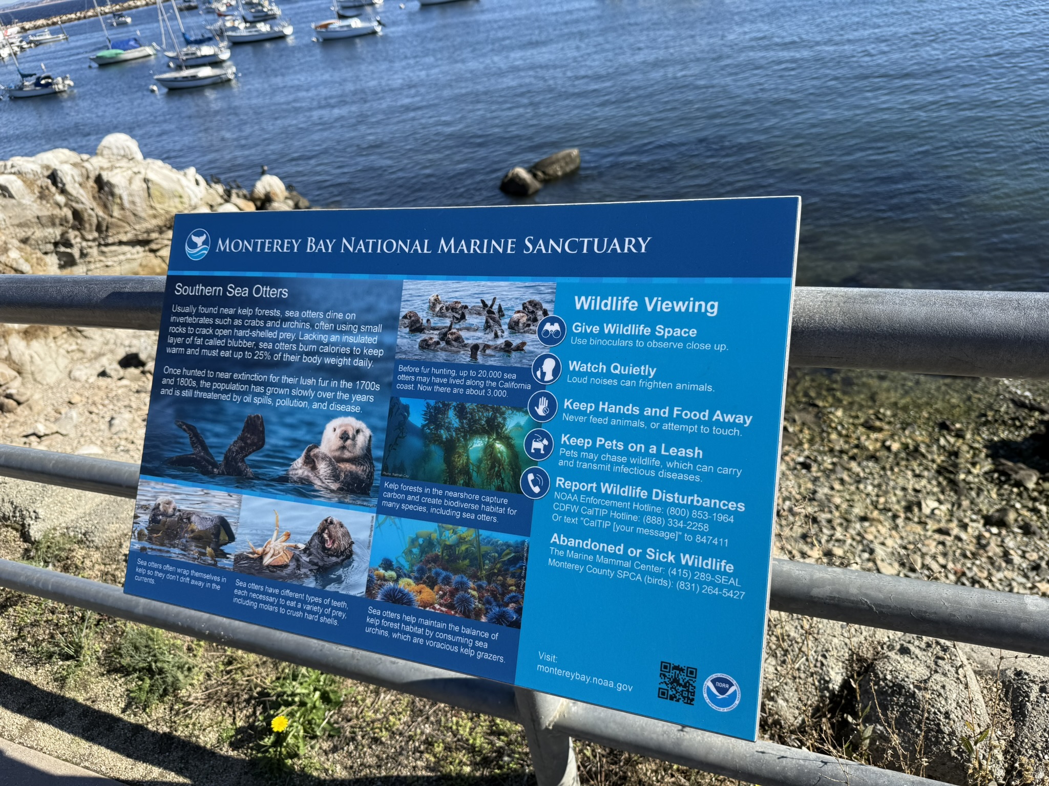 Monterey Bay Coastal Trail