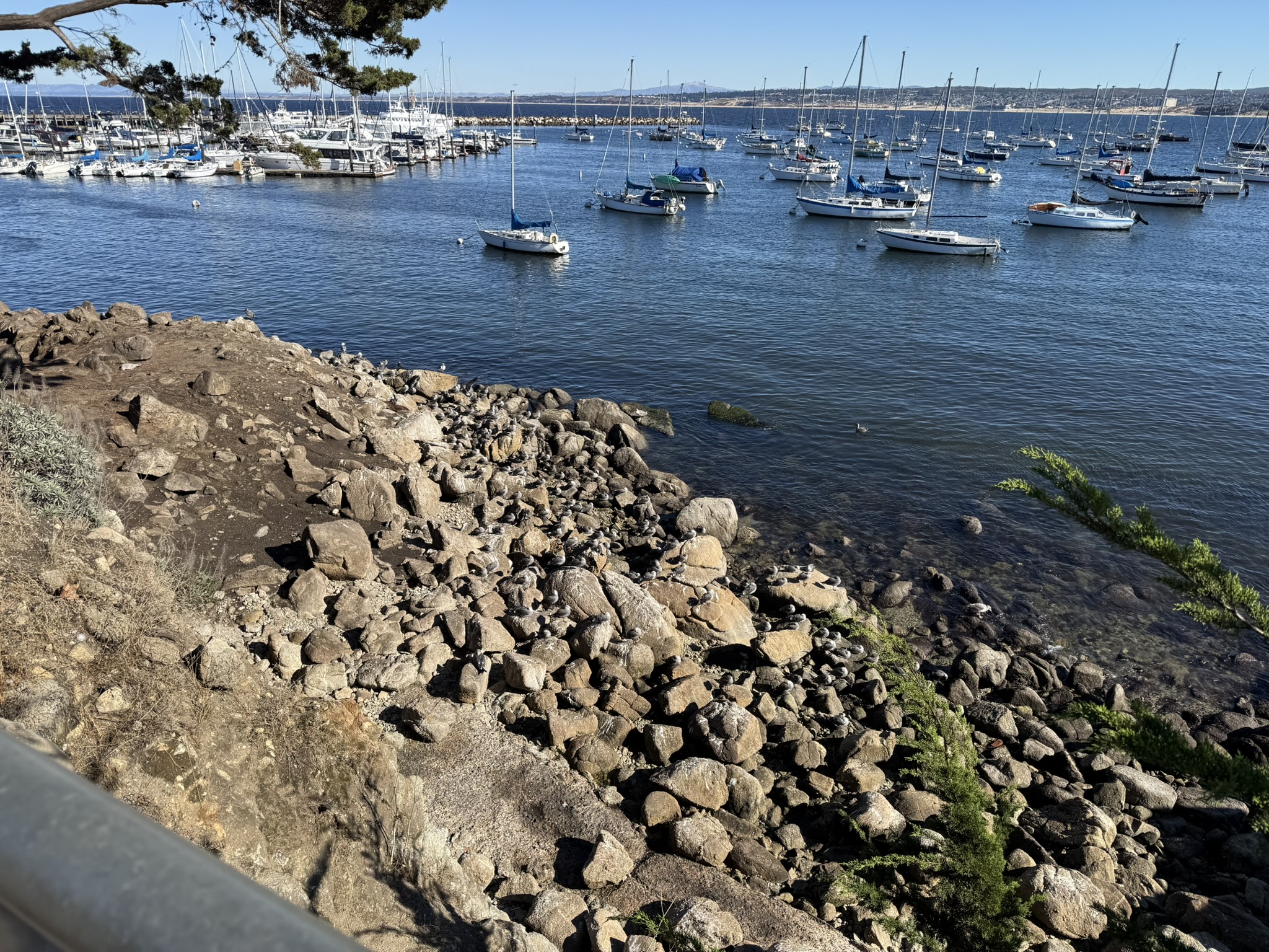 Monterey Bay Coastal Trail