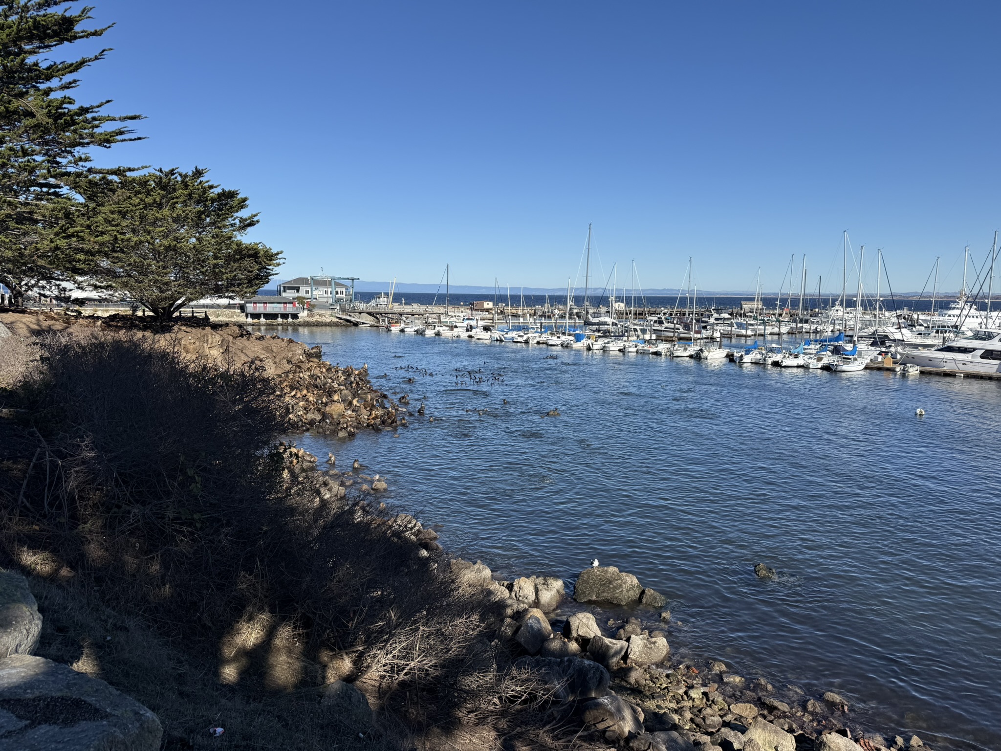 Monterey Bay Coastal Trail