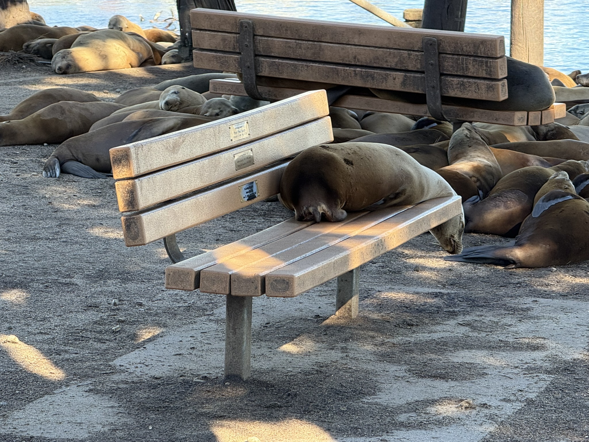 Monterey Bay Coastal Trail