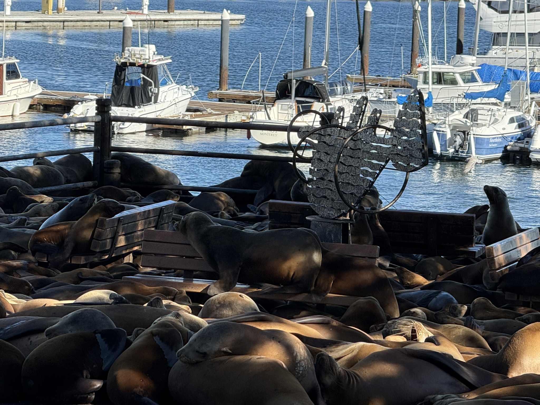 Monterey Bay Coastal Trail