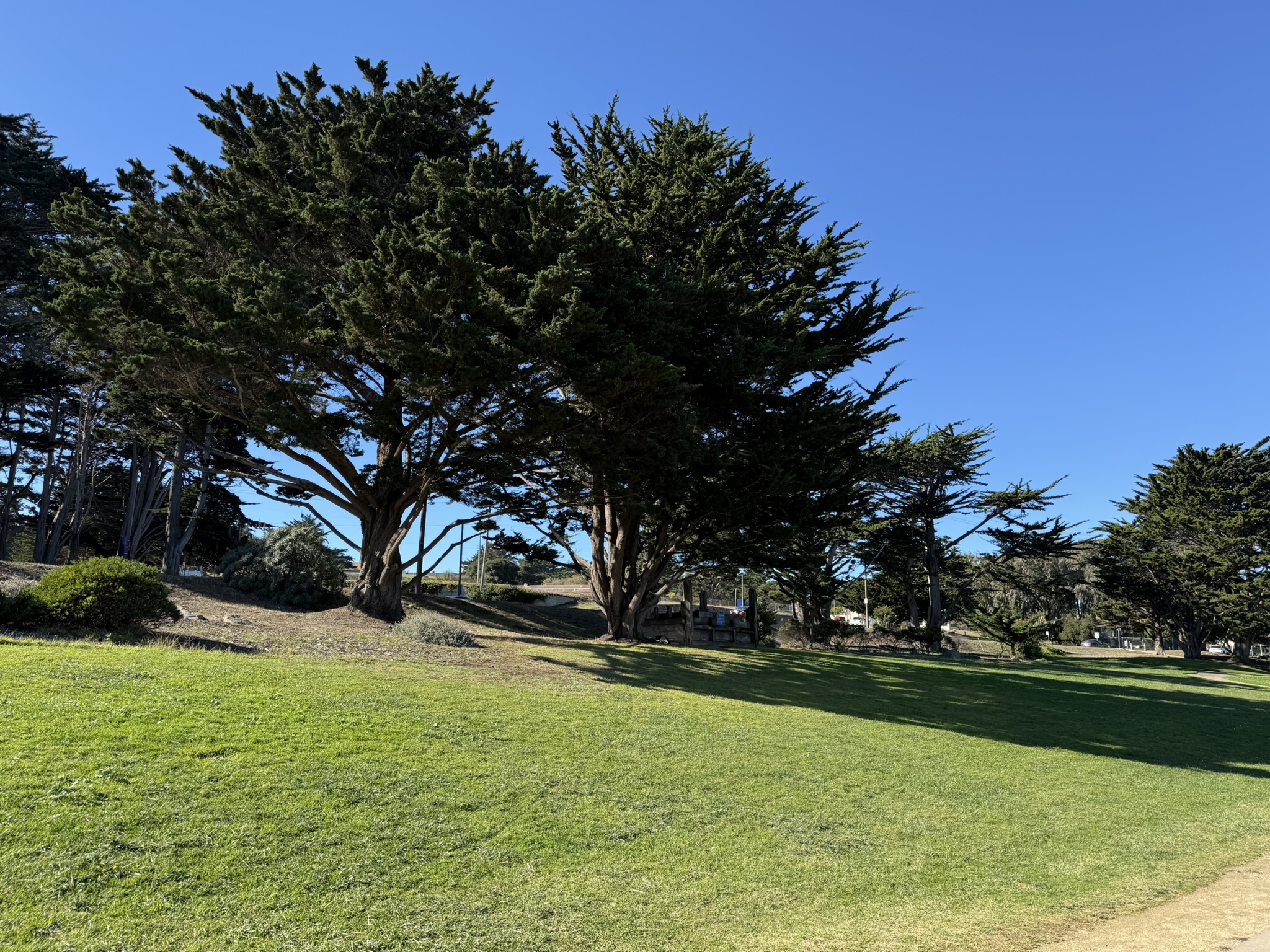 Monterey Bay Coastal Trail