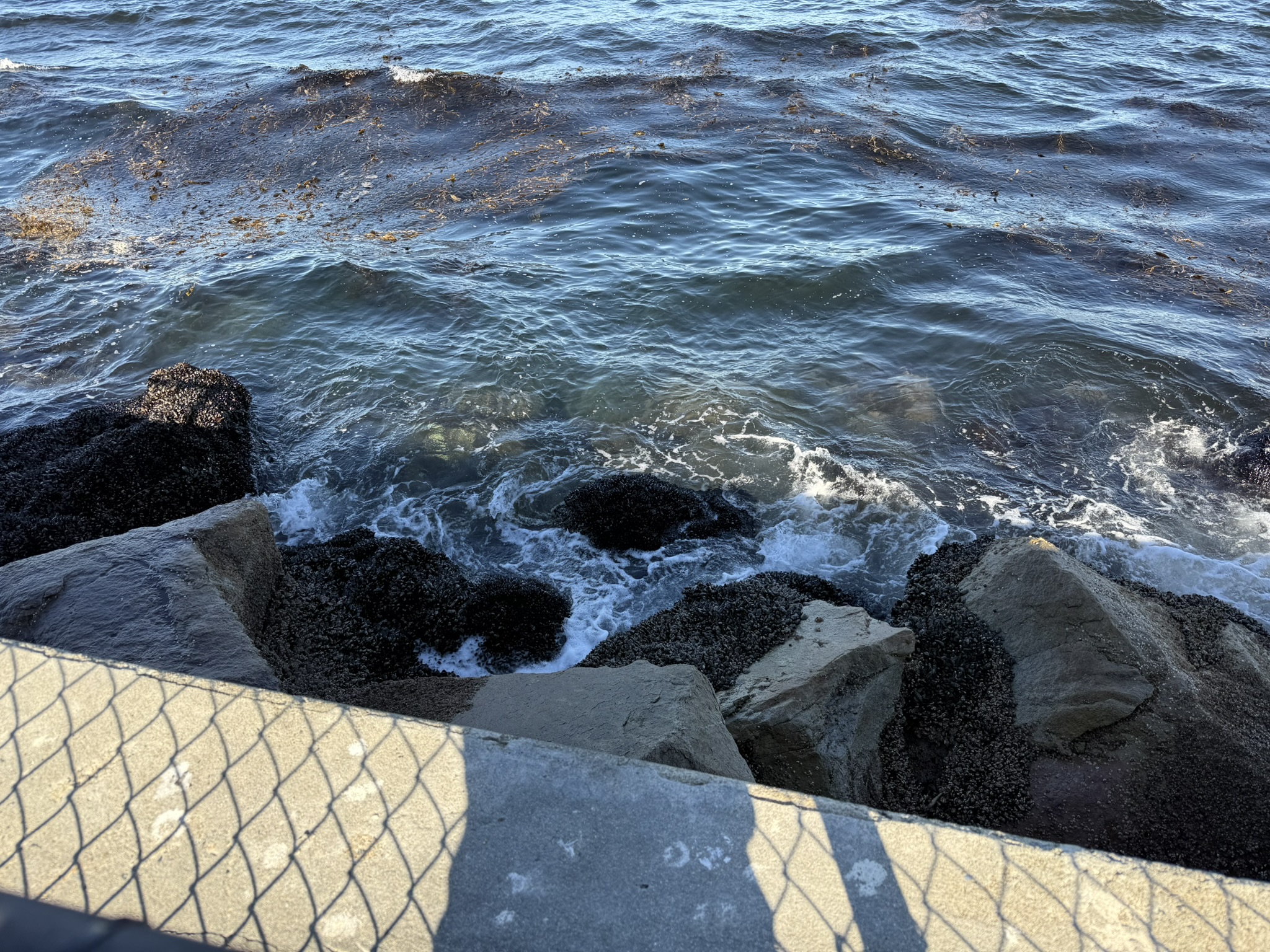 Monterey Bay Coastal Trail