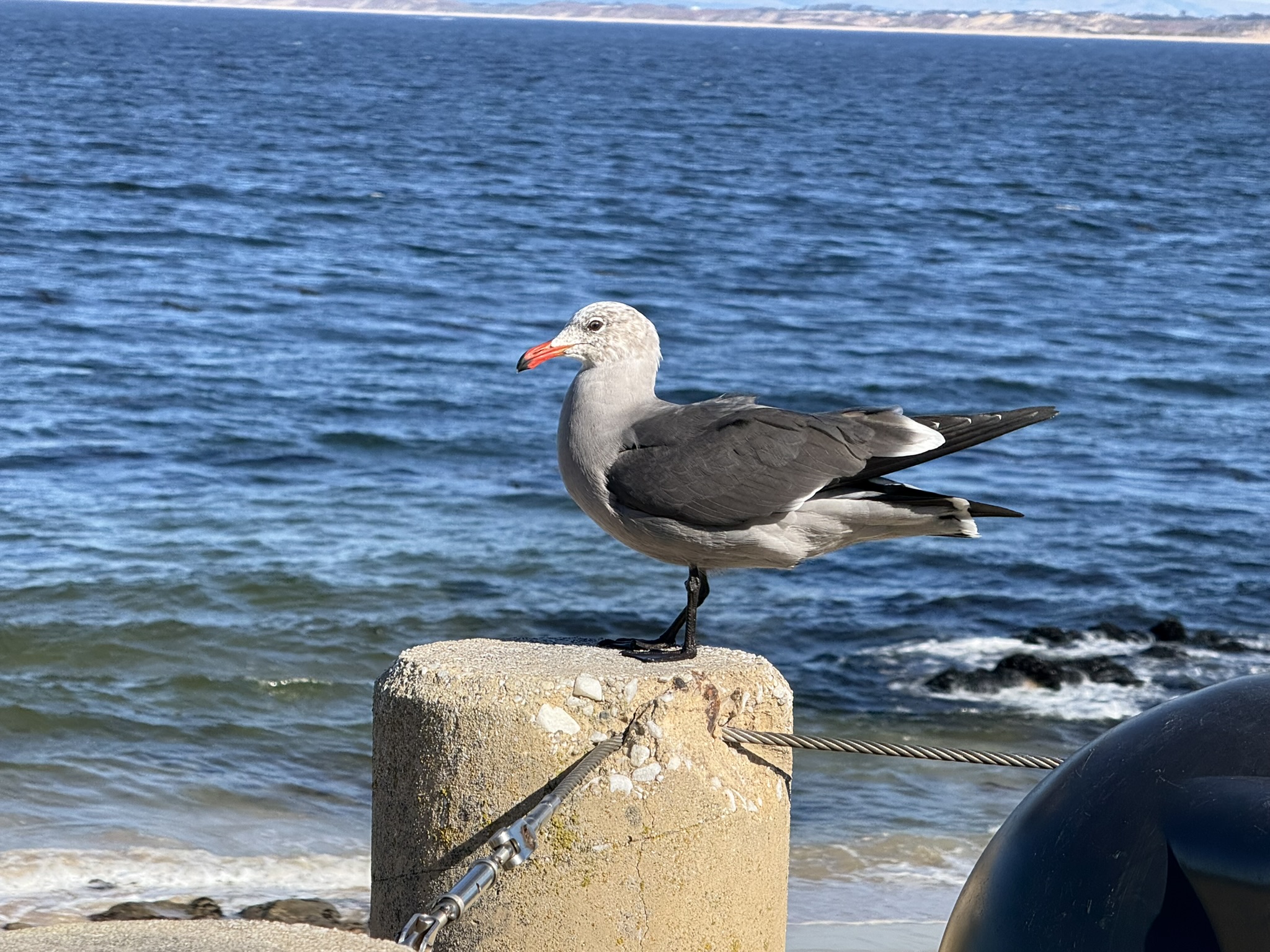 Monterey Bay Coastal Trail