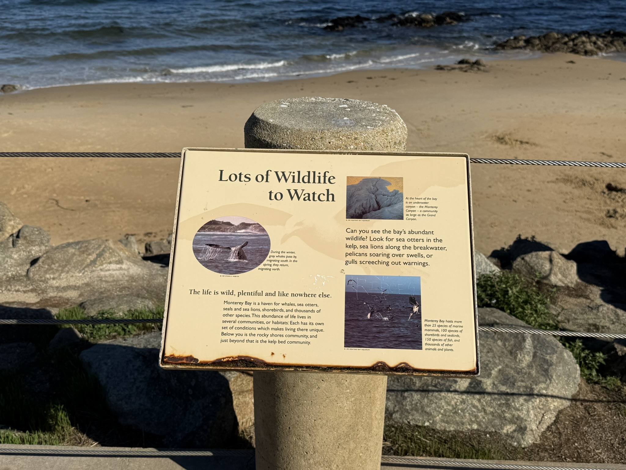 Monterey Bay Coastal Trail