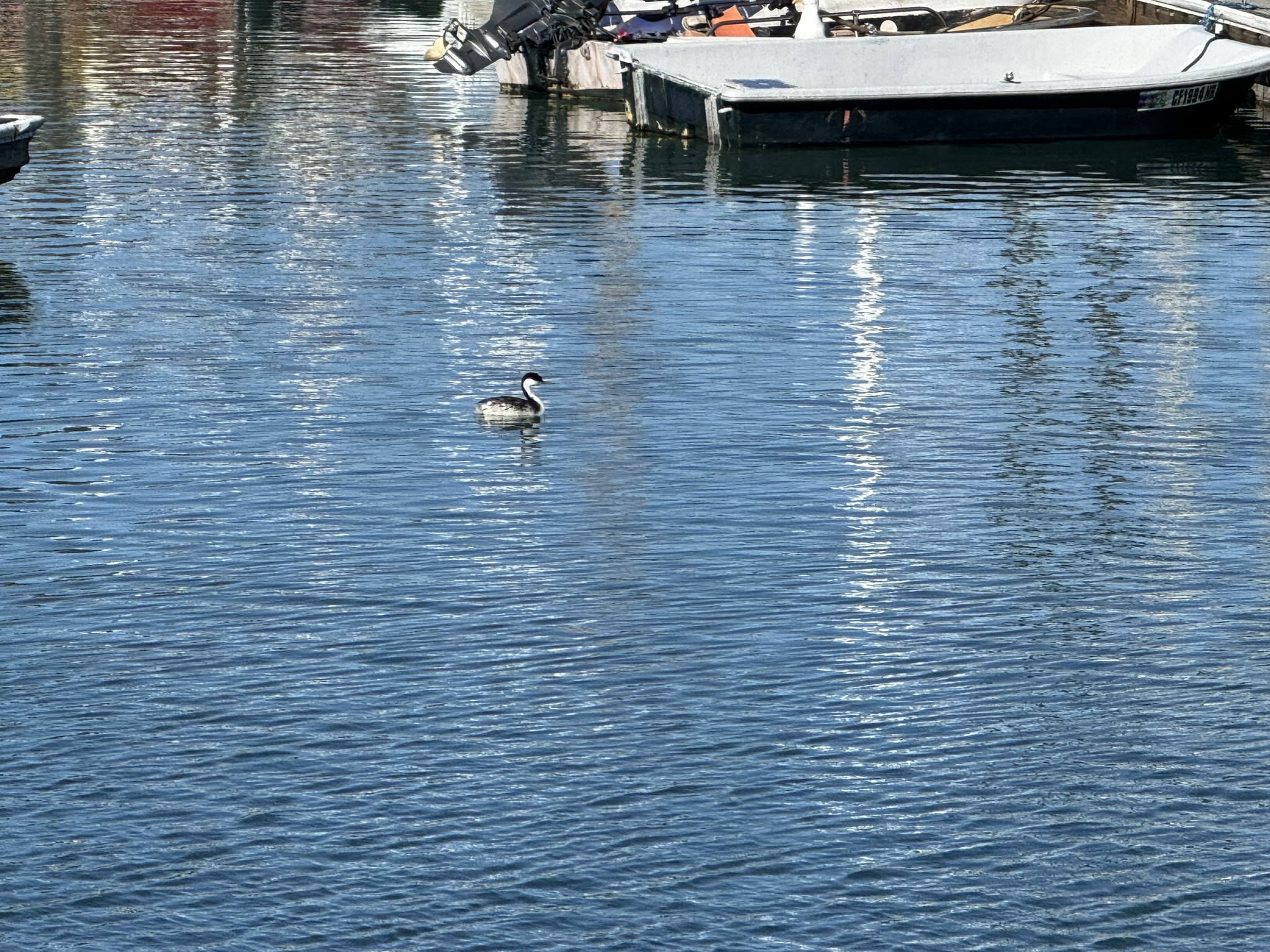 Monterey Old Fisherman’s Wharf