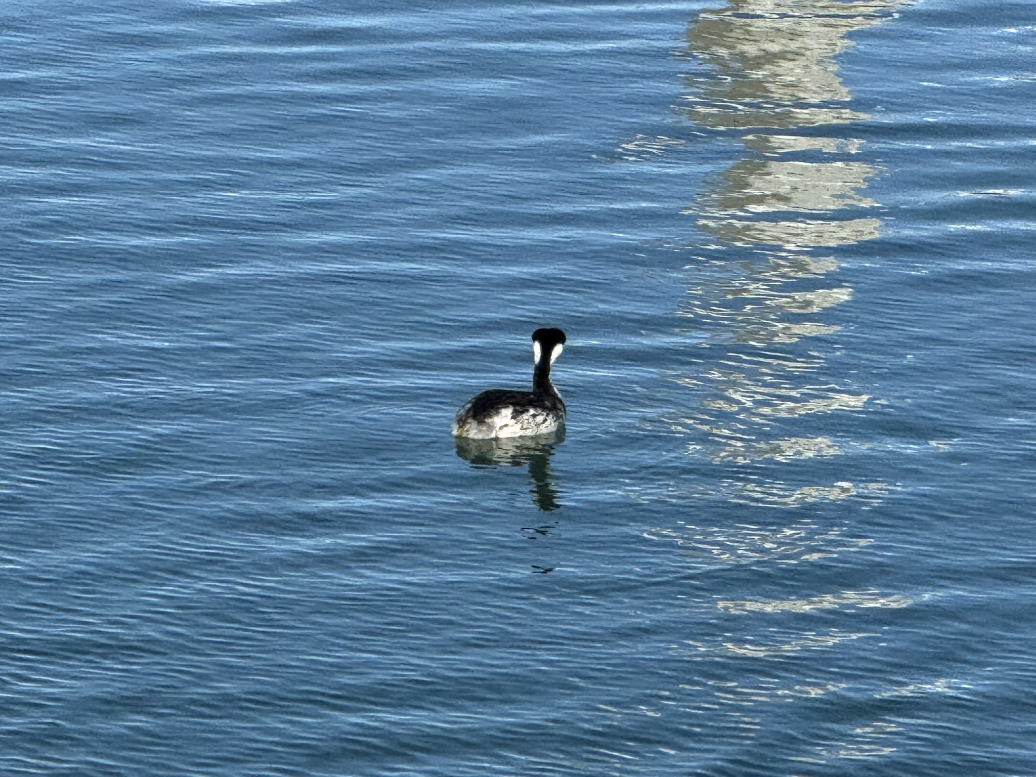 Monterey Old Fisherman’s Wharf