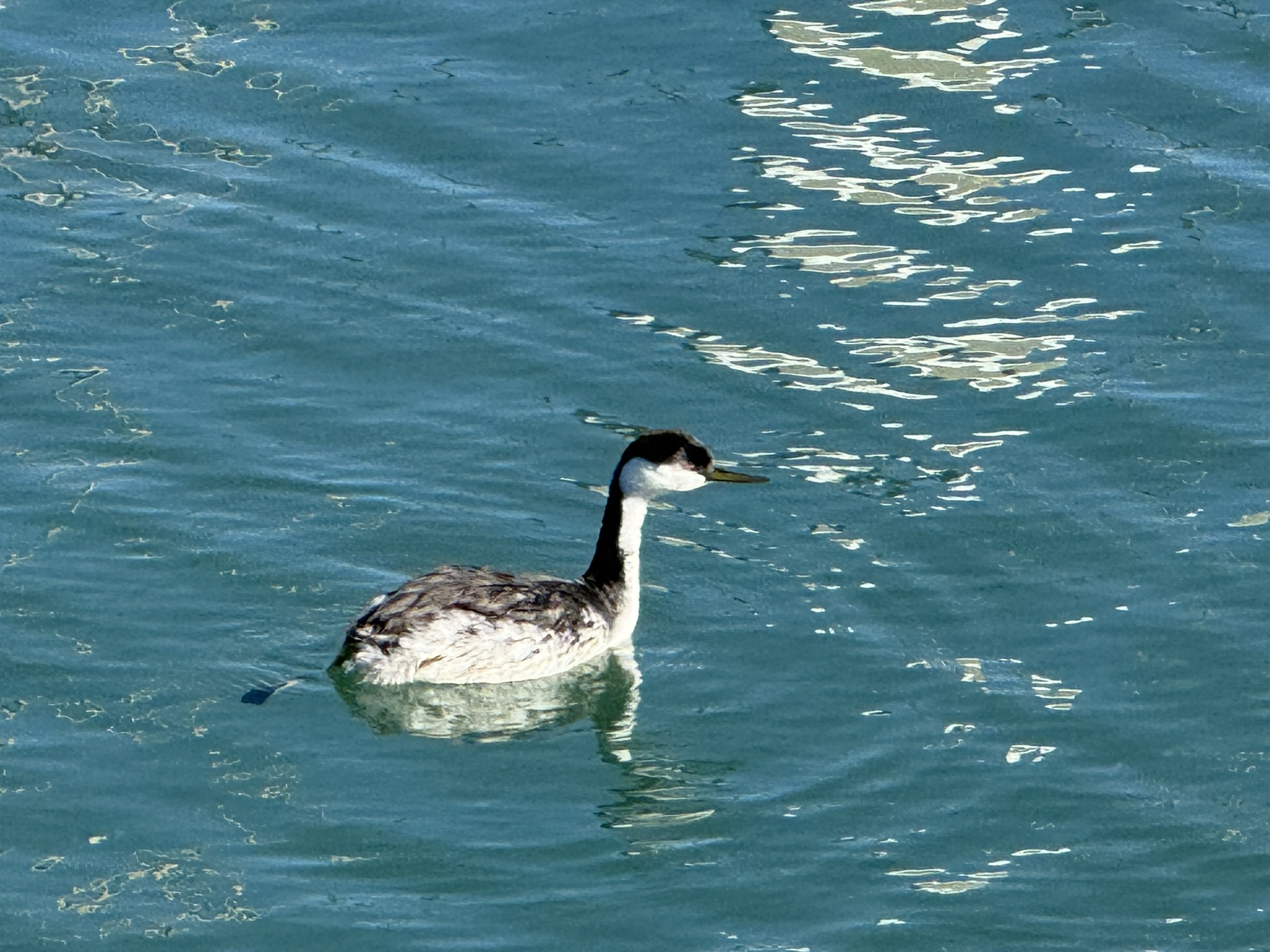 Monterey Old Fisherman’s Wharf