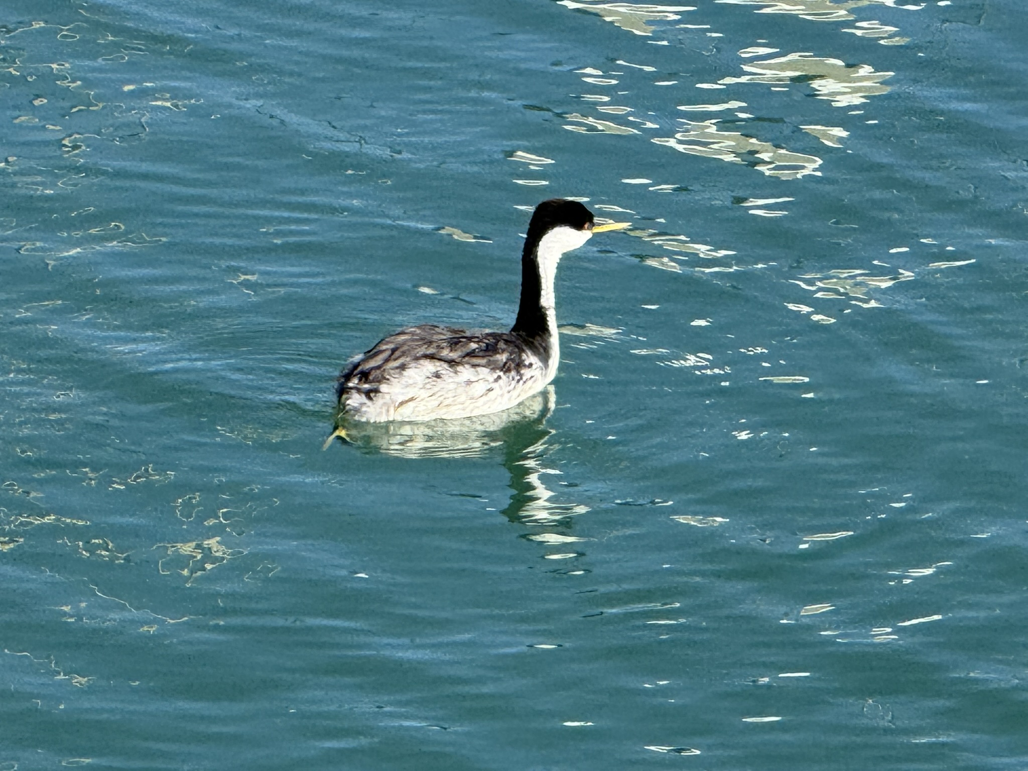 Monterey Old Fisherman’s Wharf