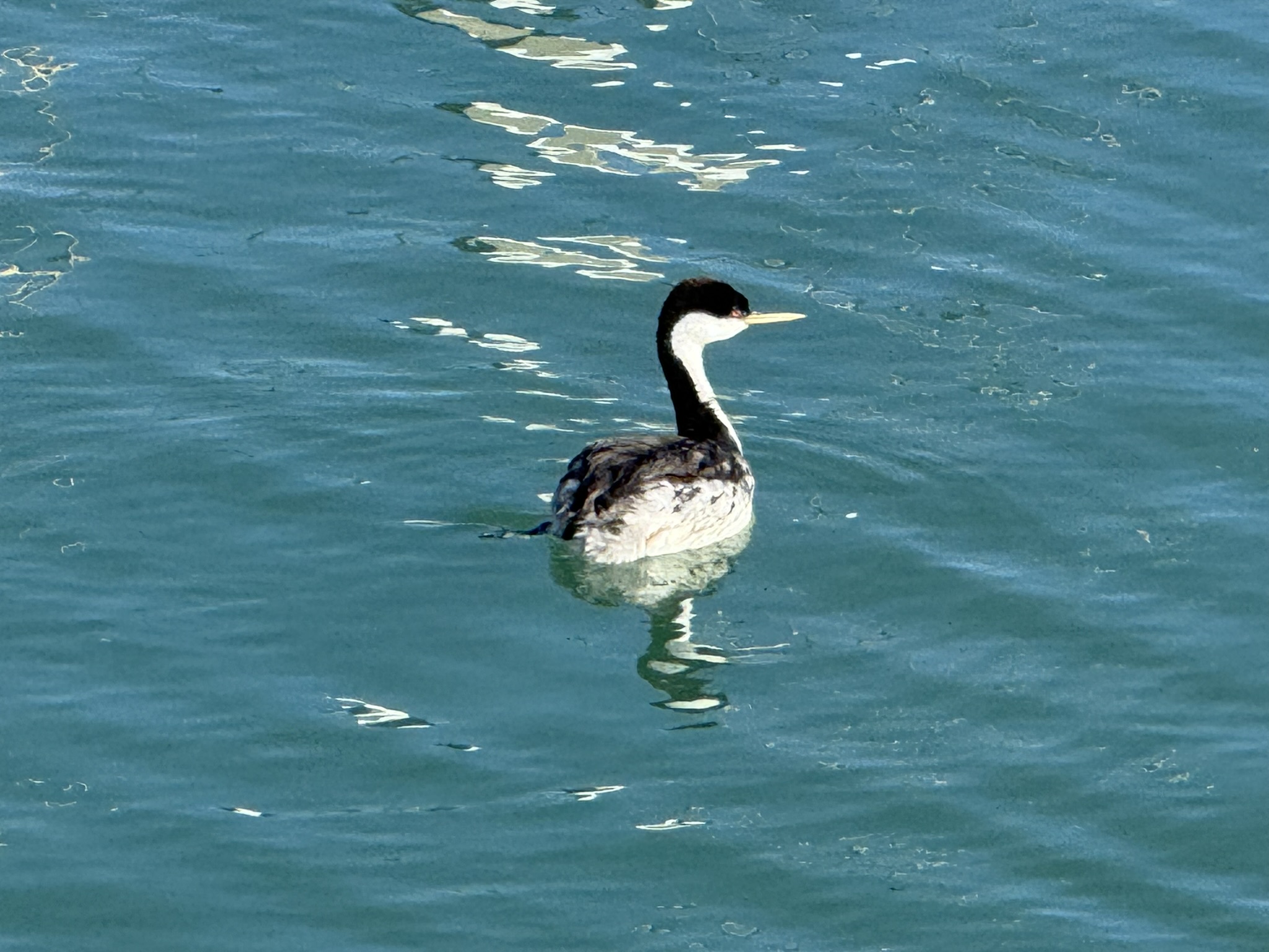 Monterey Old Fisherman’s Wharf