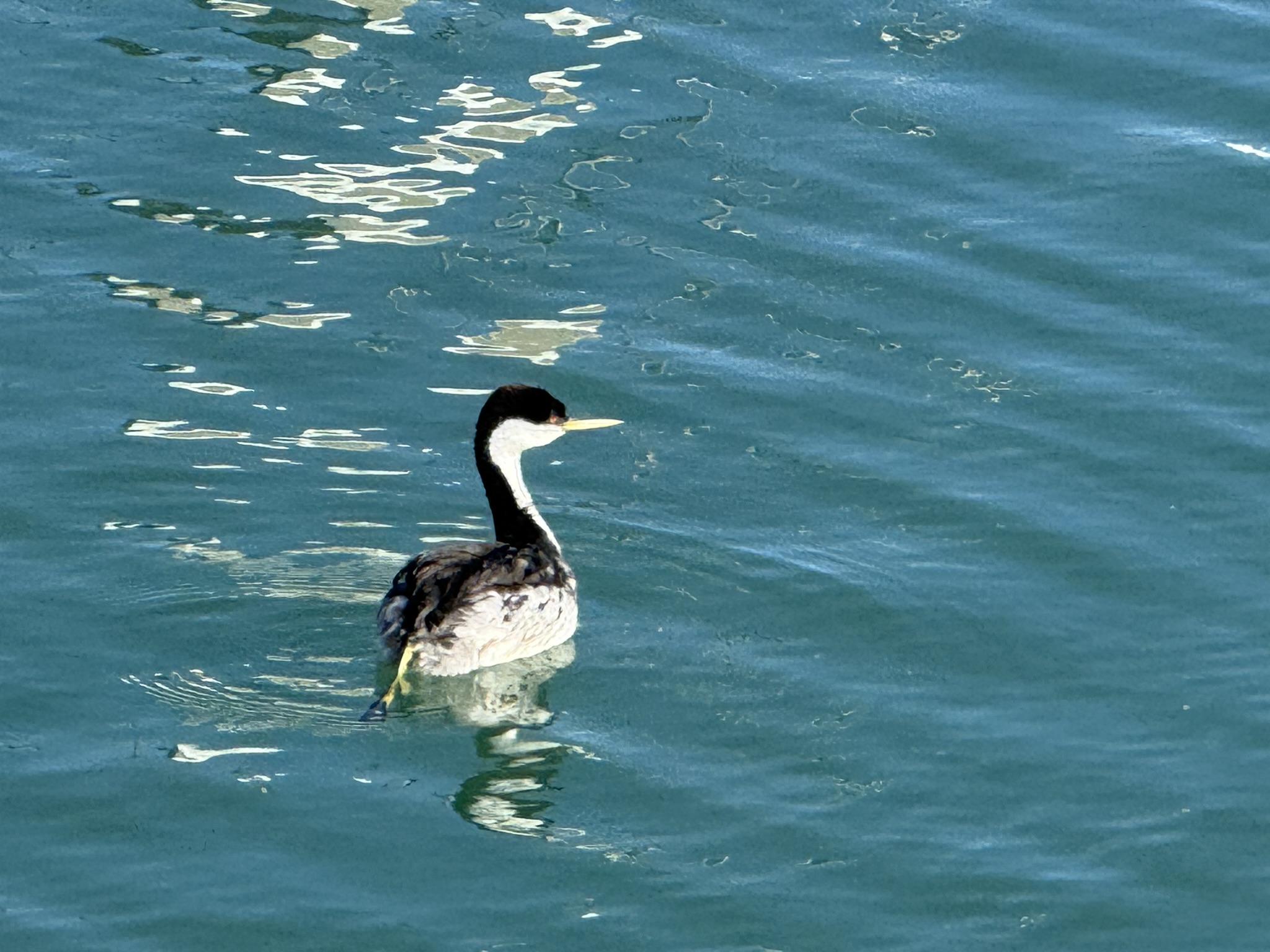 Monterey Old Fisherman’s Wharf