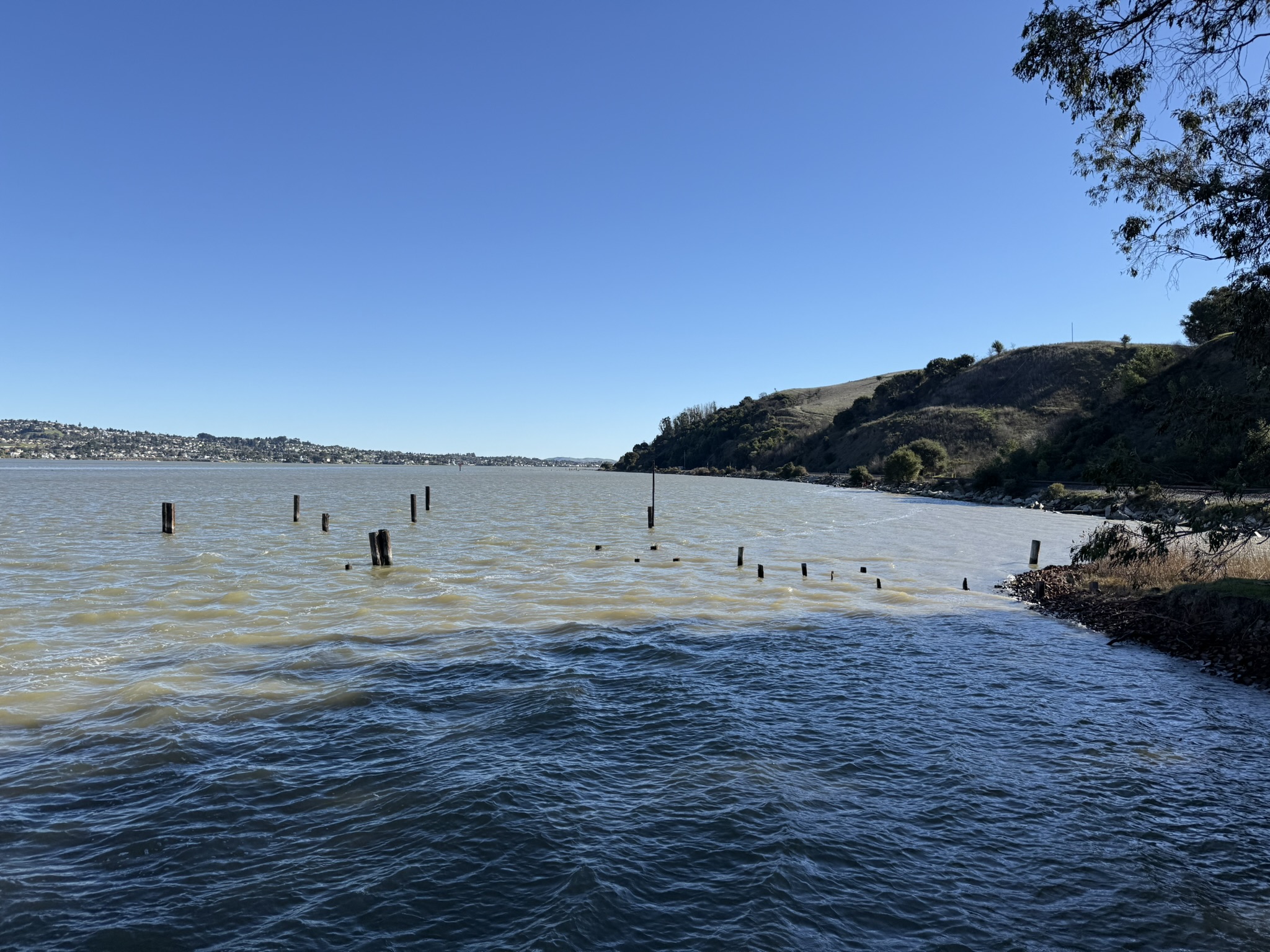 Eckley Pier