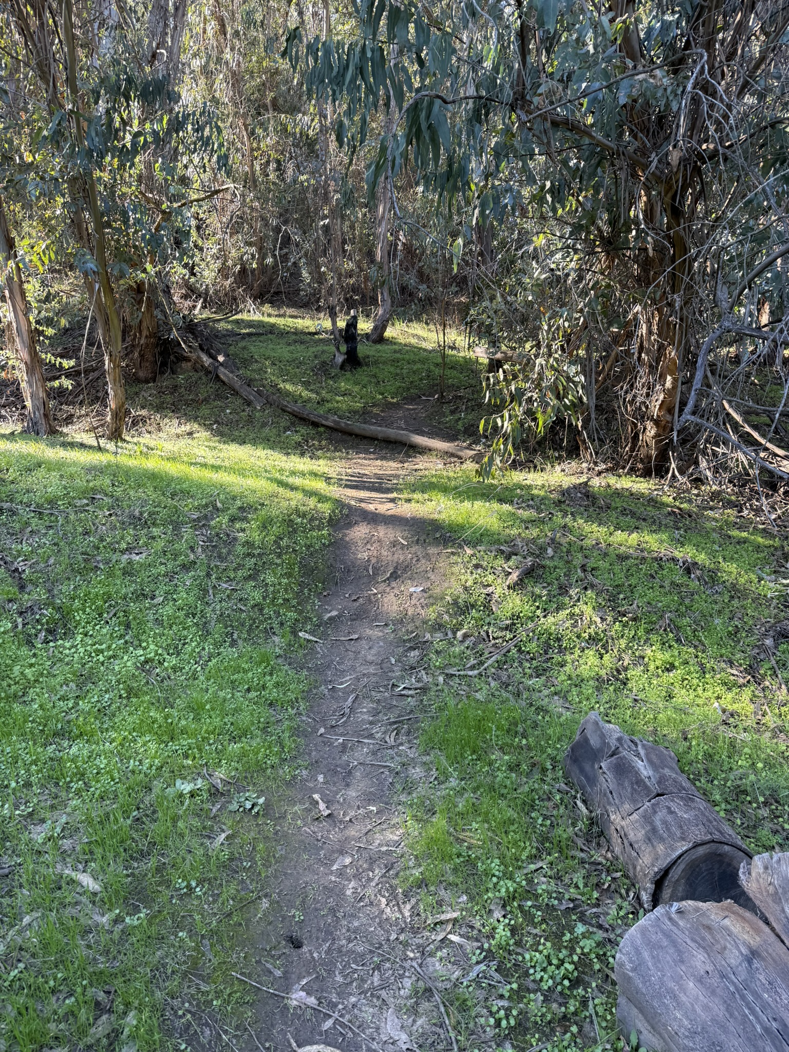 比较隐秘的 Bull Valley Trail 入口