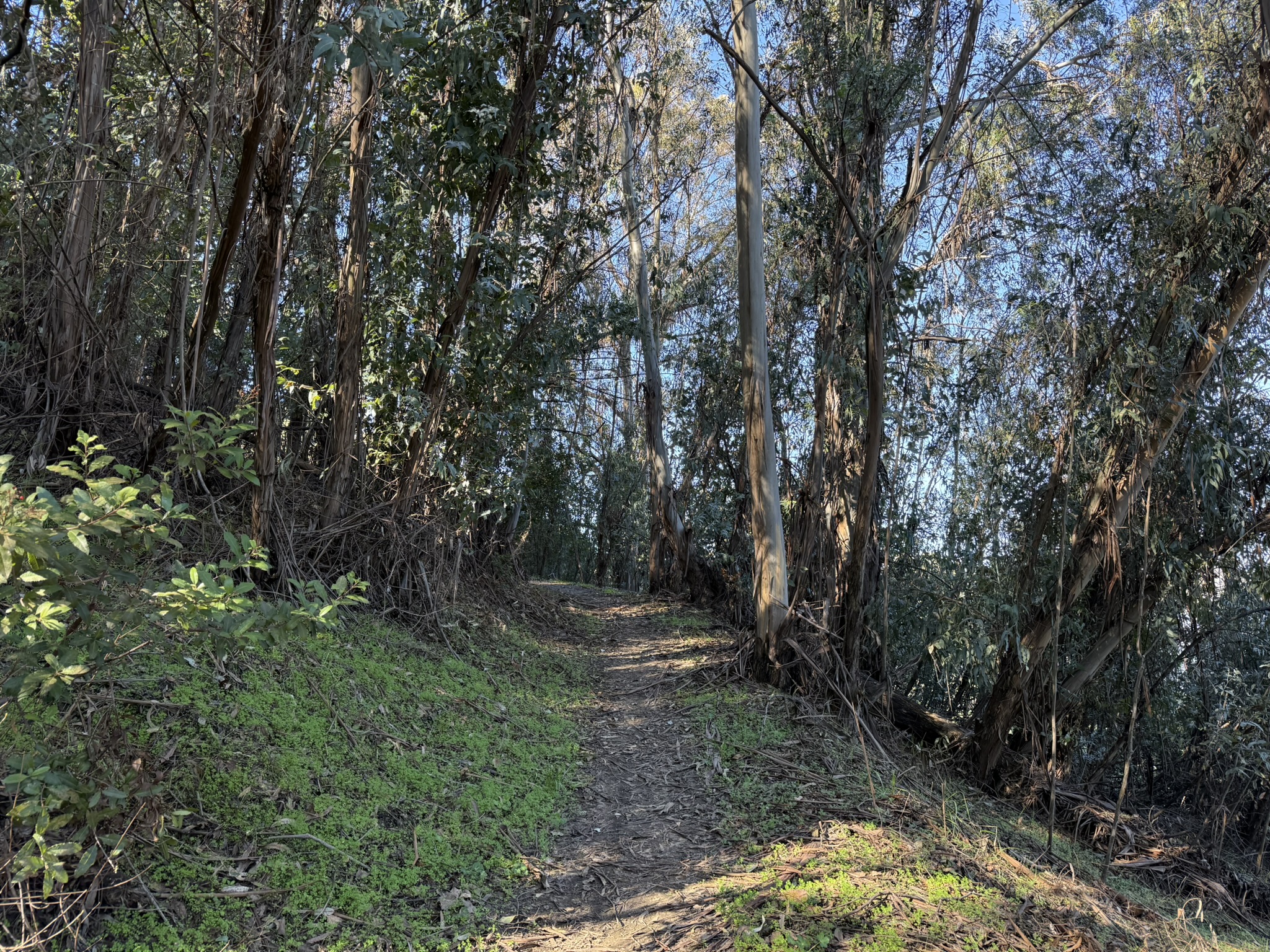 Bull Valley Trail