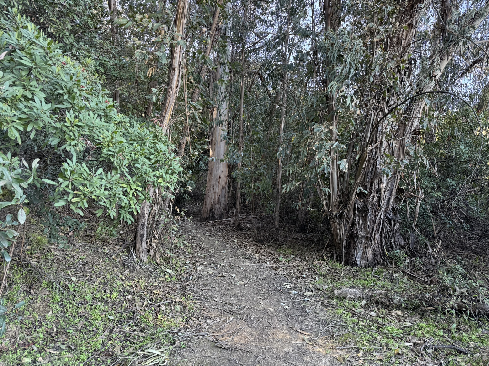 Bull Valley Trail