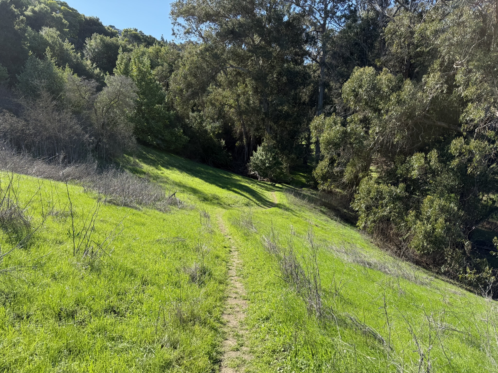 Bull Valley Trail