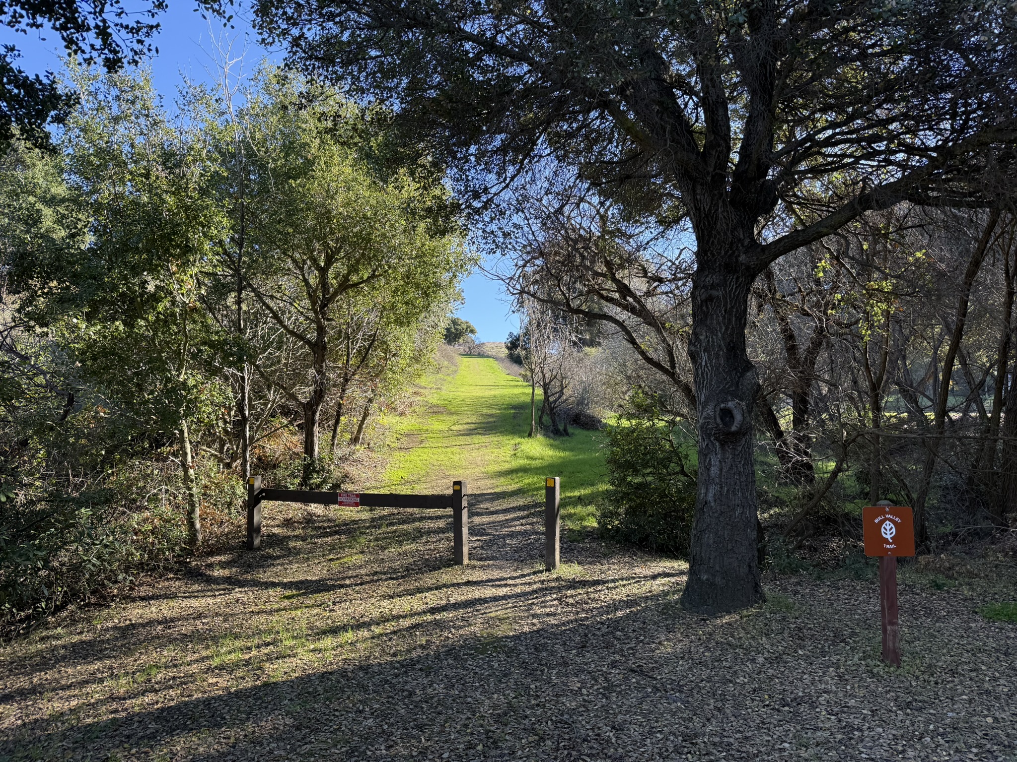 Bull Valley Trail