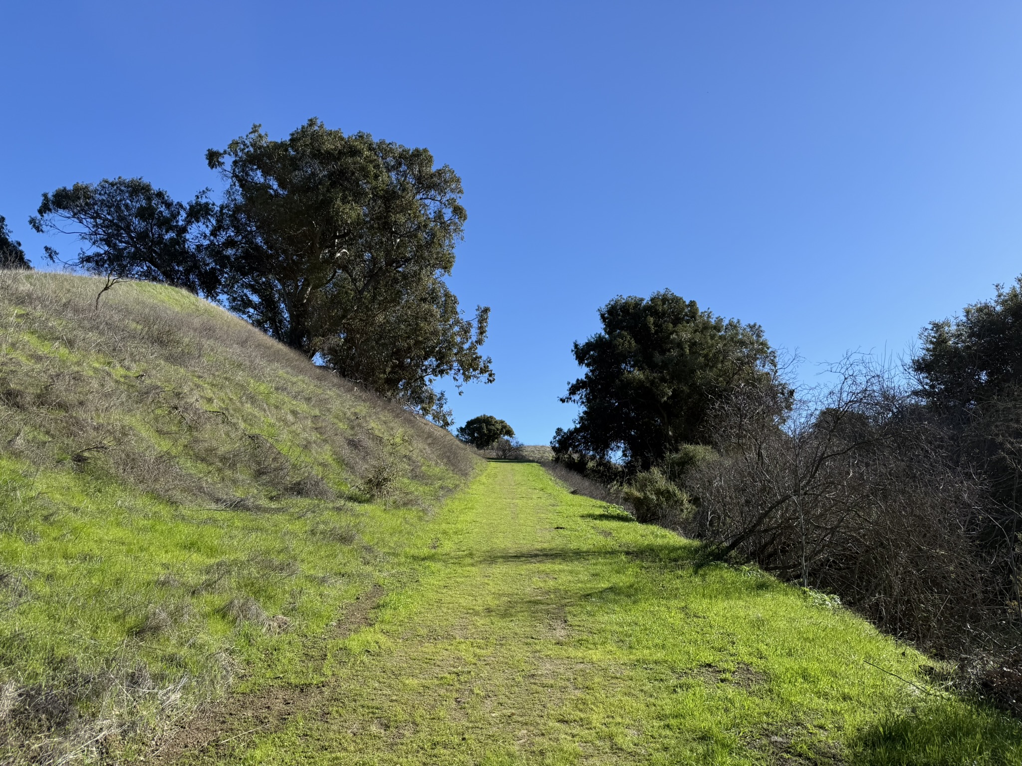 Bull Valley Trail