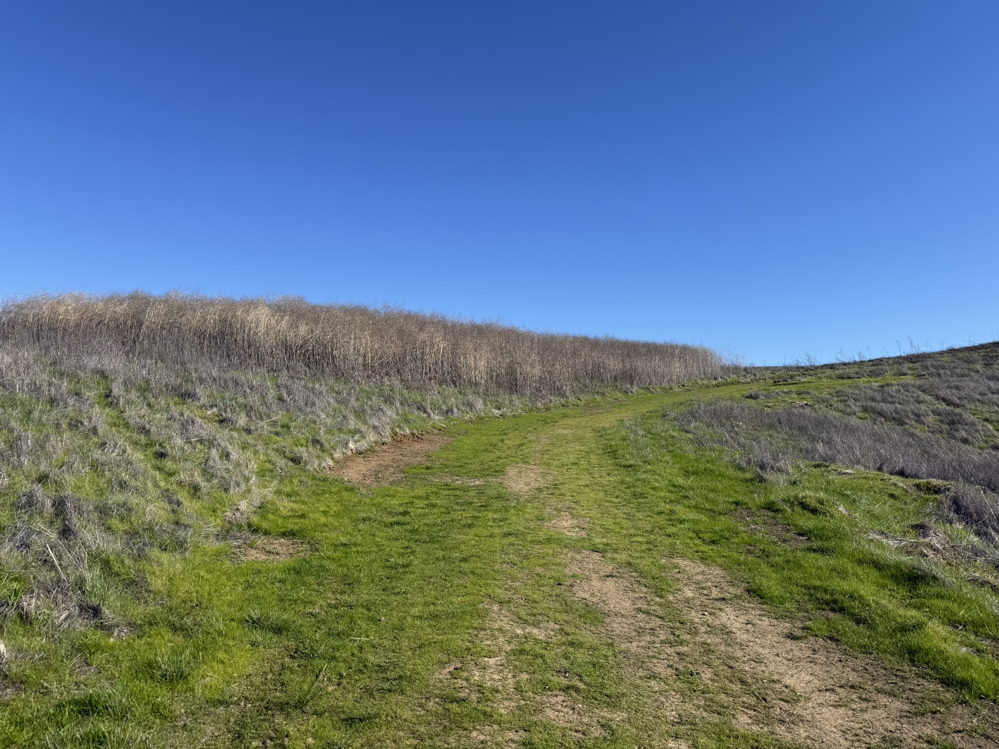 Bull Valley Trail