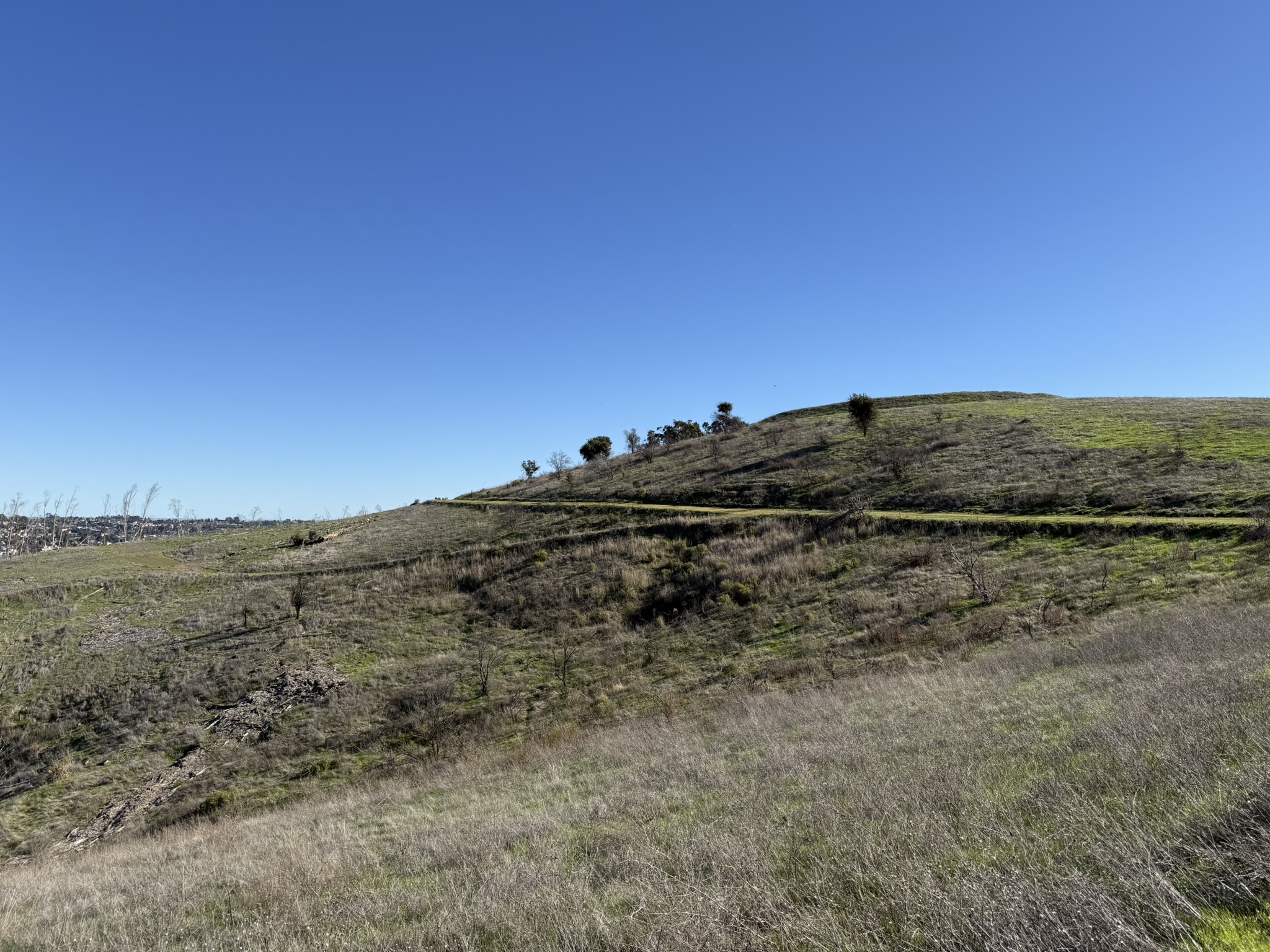 Carquinez Overlook Loop Trail