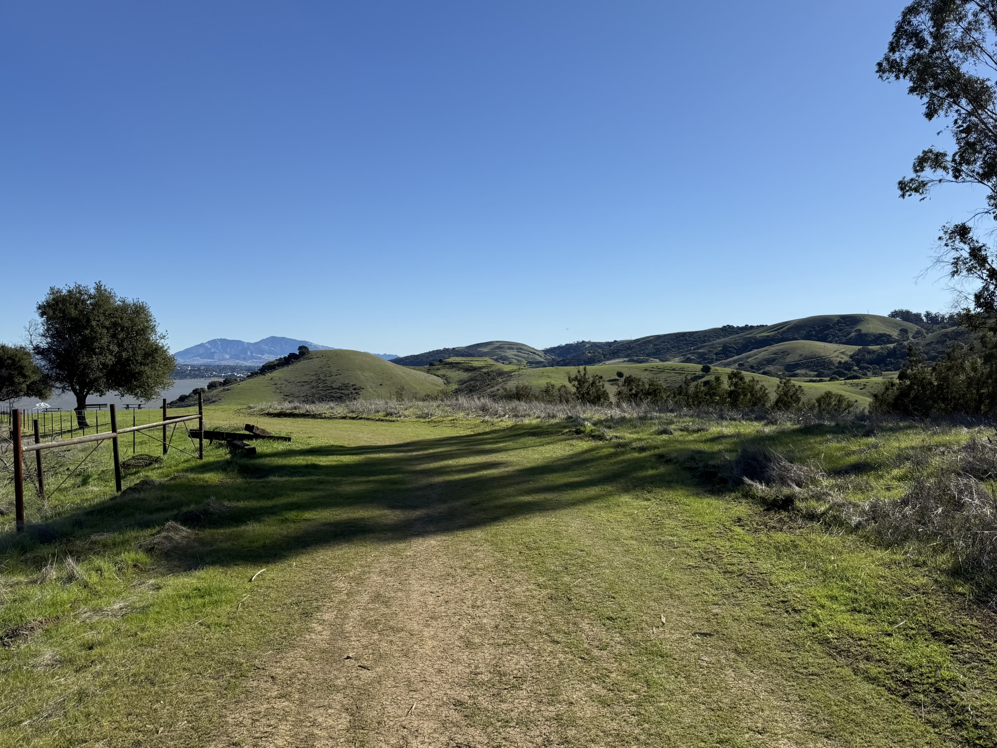 Carquinez Overlook Loop Trail