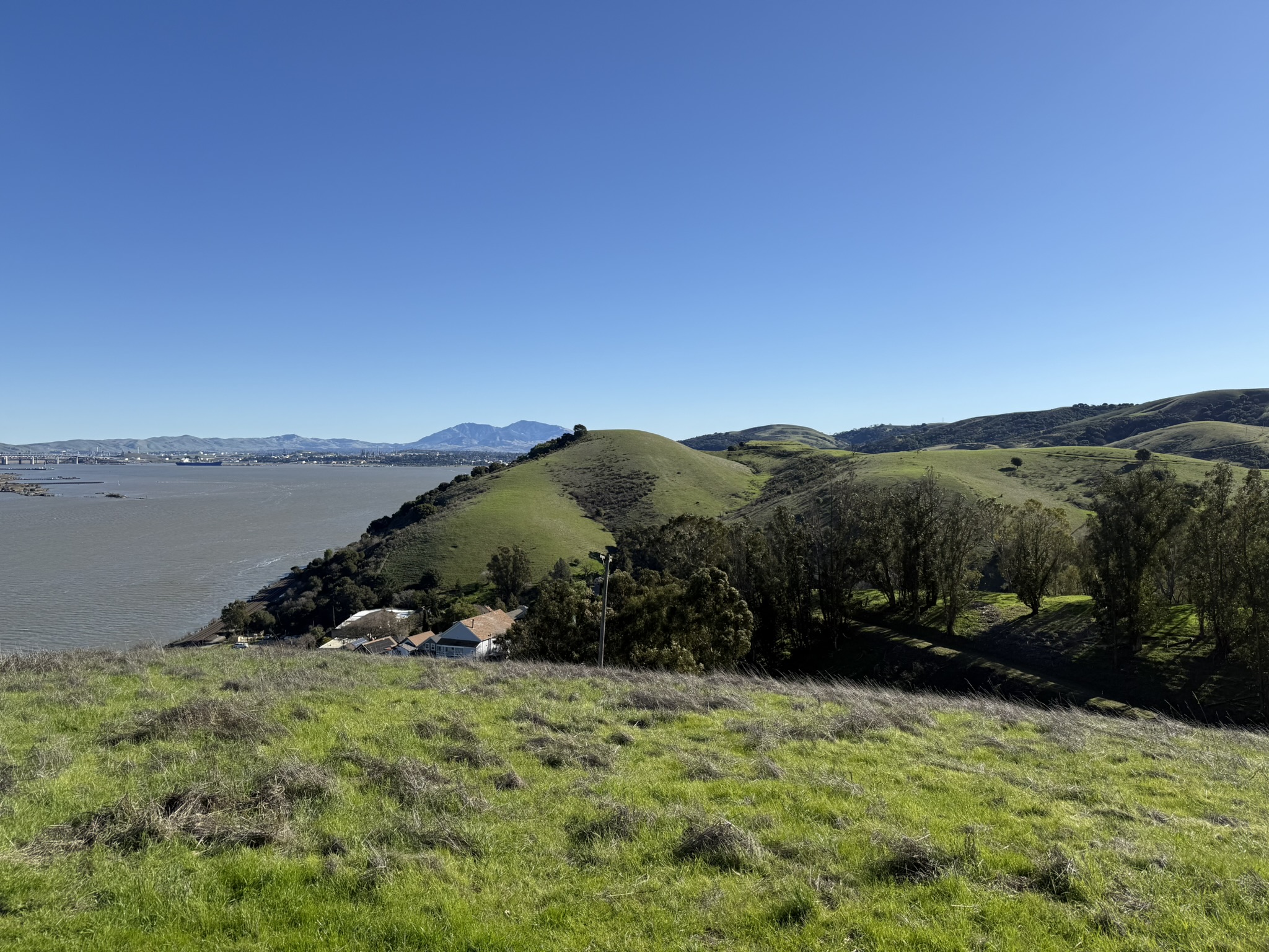 Carquinez Overlook Loop Trail