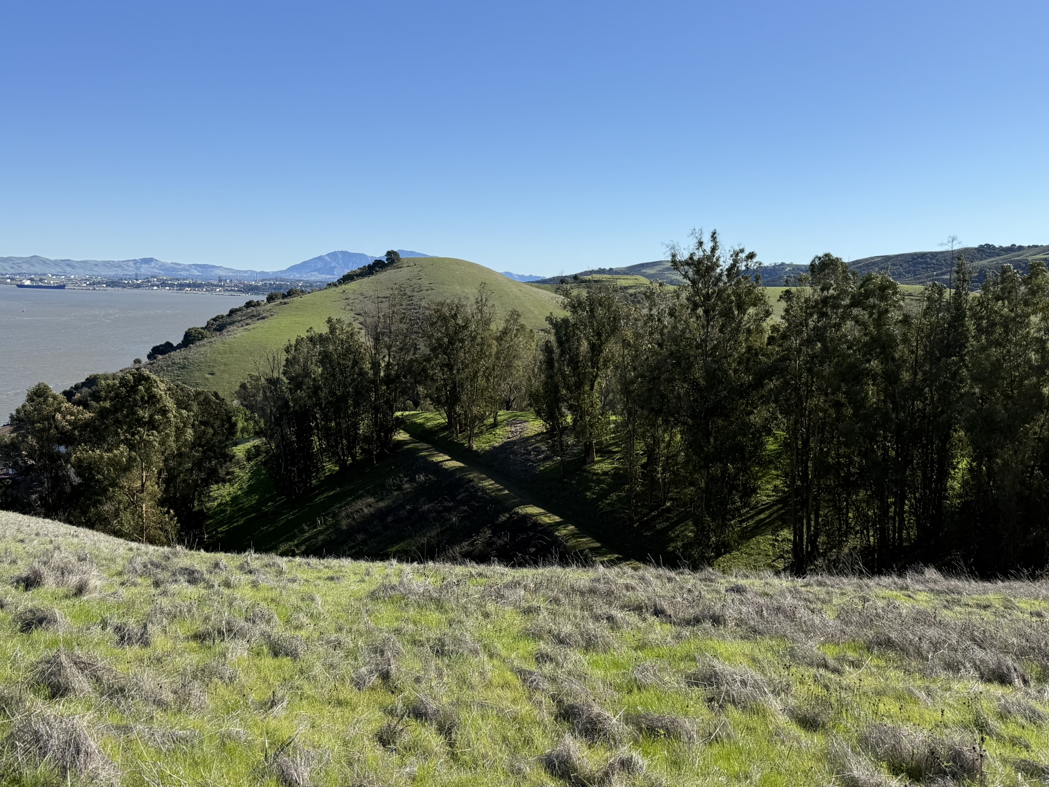 Carquinez Overlook Loop Trail