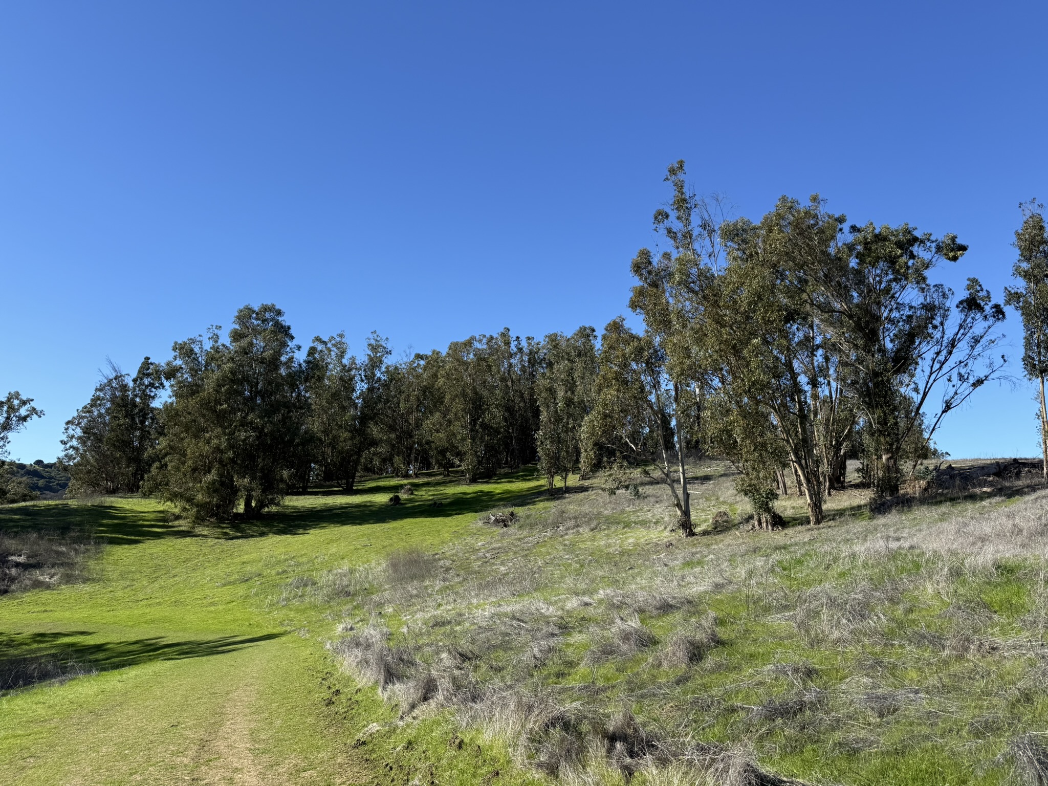 Carquinez Overlook Loop Trail