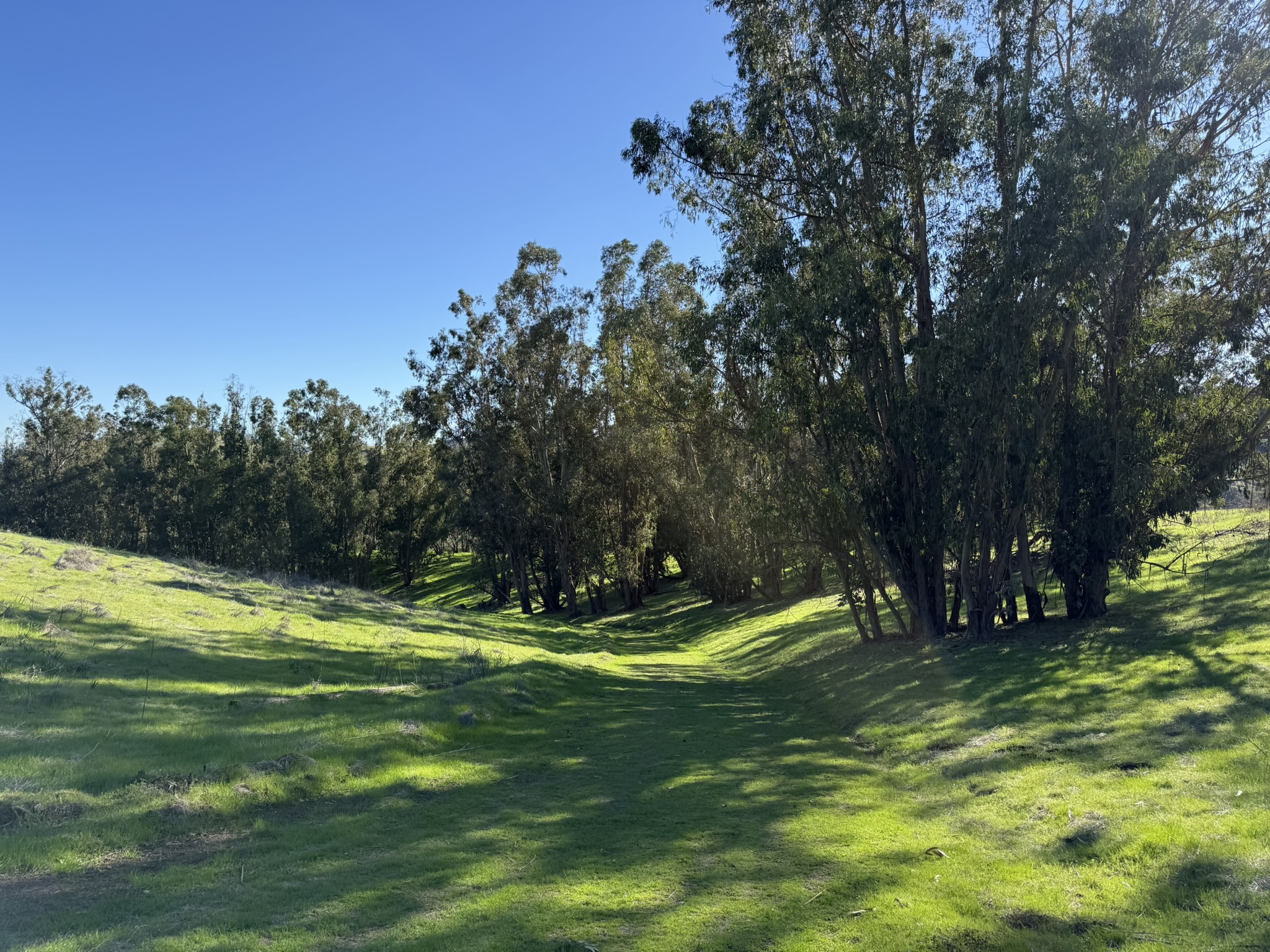 Carquinez Overlook Loop Trail