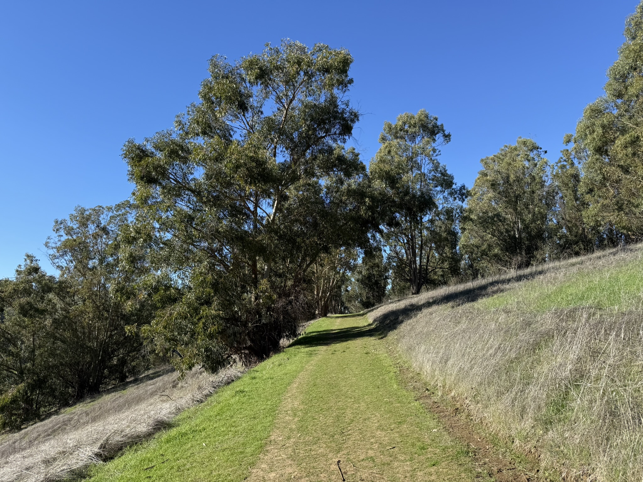 Carquinez Overlook Loop Trail