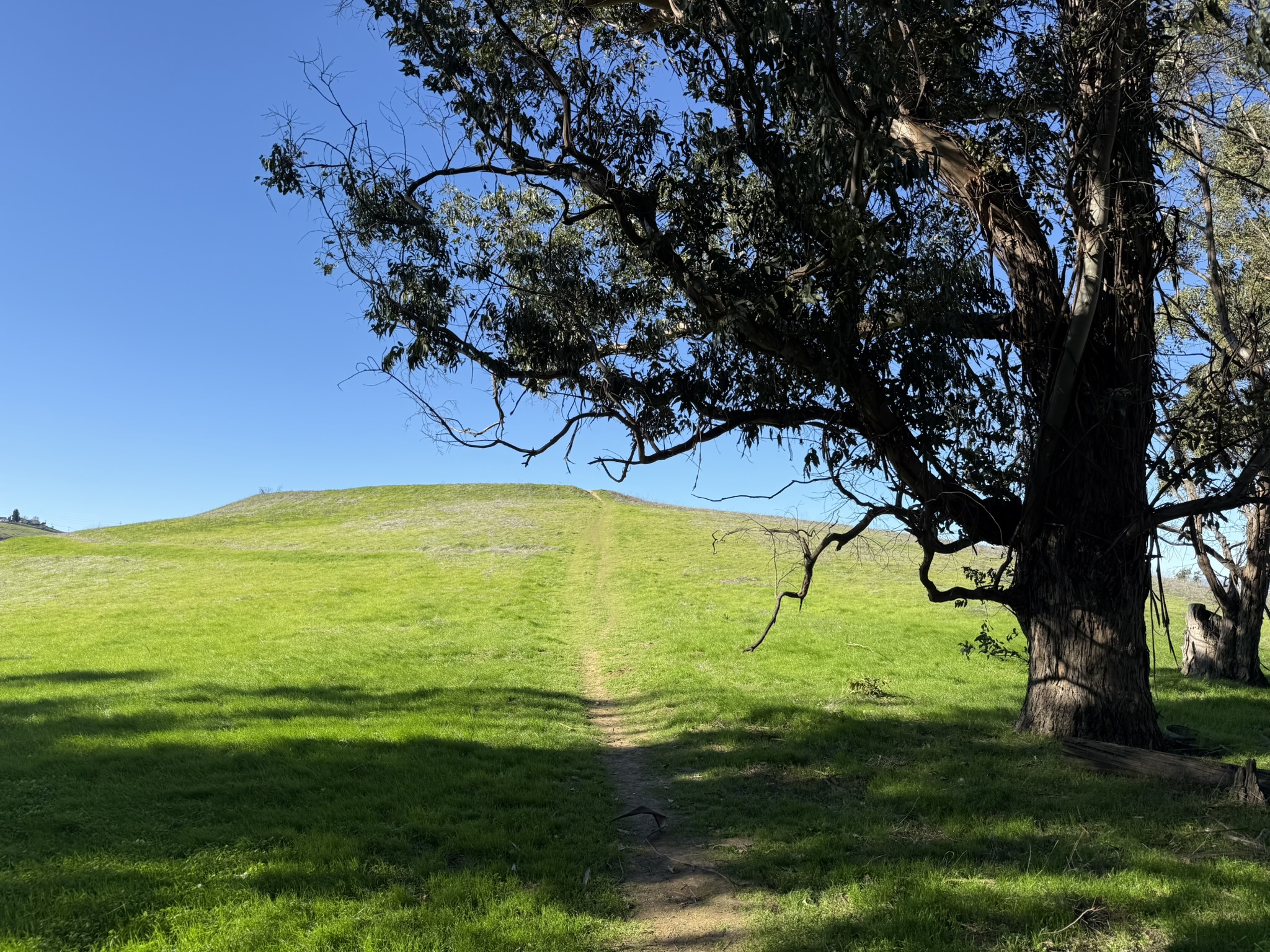 Carquinez Overlook Loop Trail