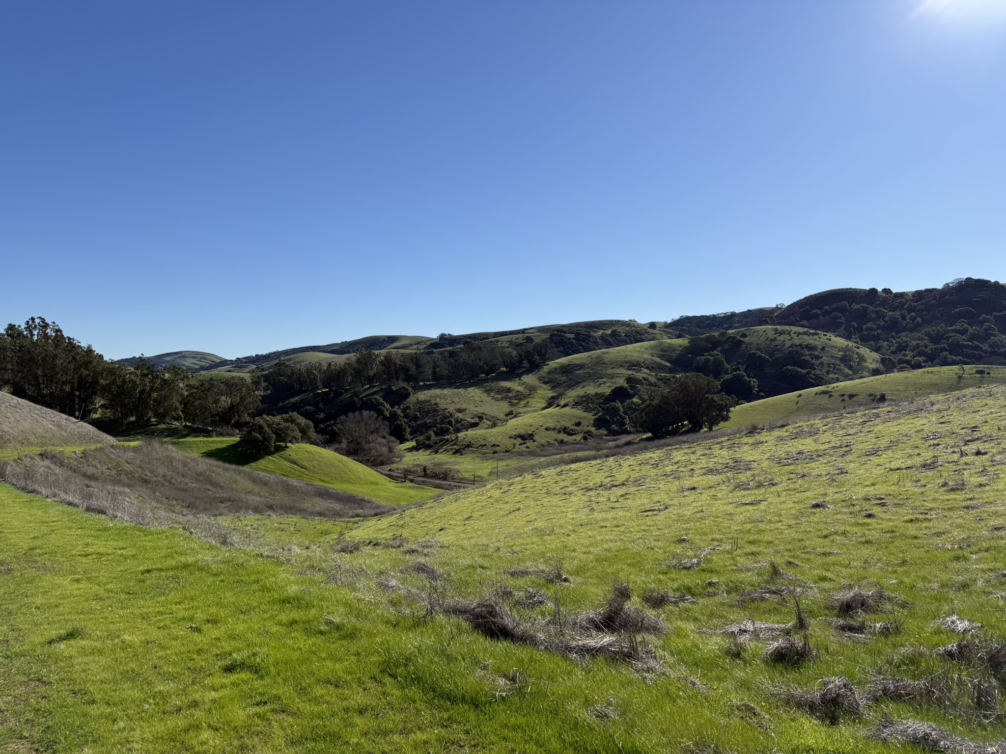 Bull Valley Trail