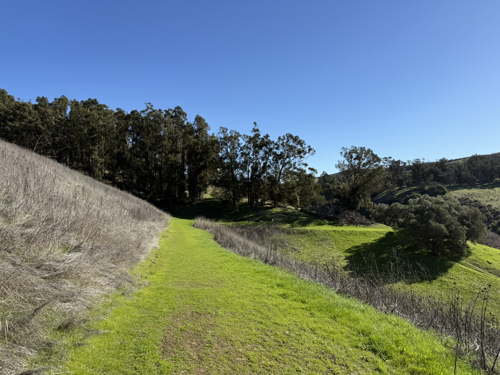 Bull Valley Trail