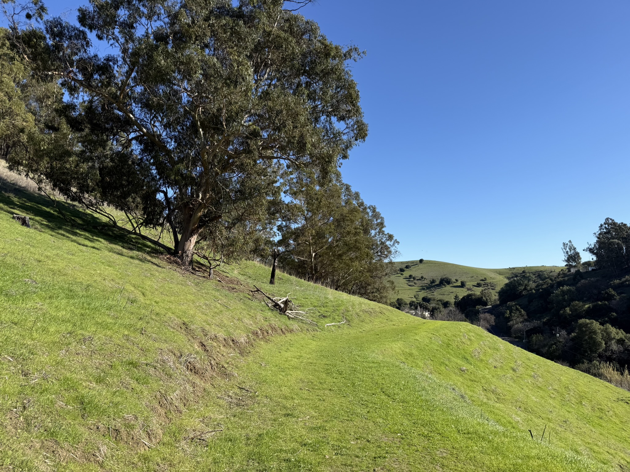 Bull Valley Trail