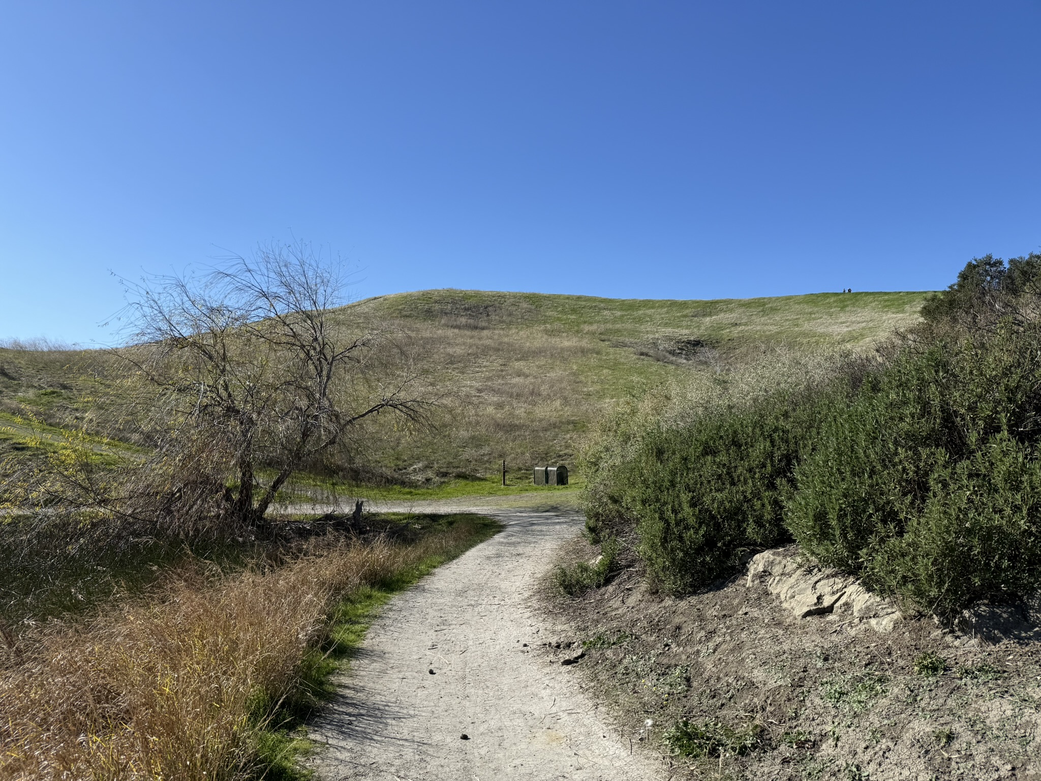 West Shore Trail