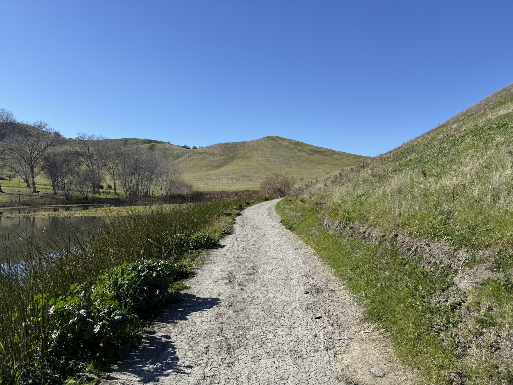 West Shore Trail